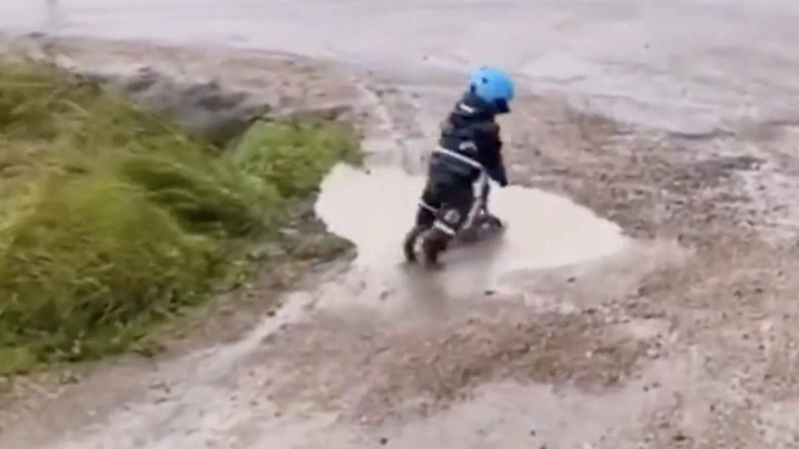 You still here 1 27 23 scaled