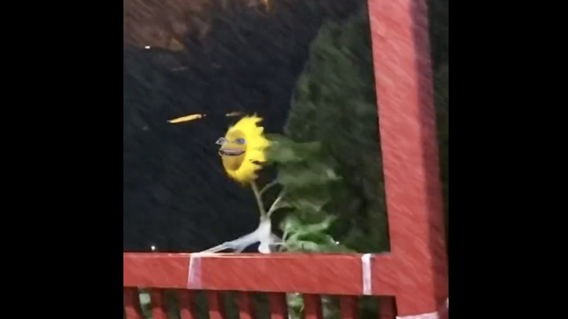 You still here 1 9 23