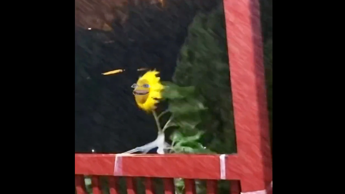 You still here 1 9 23