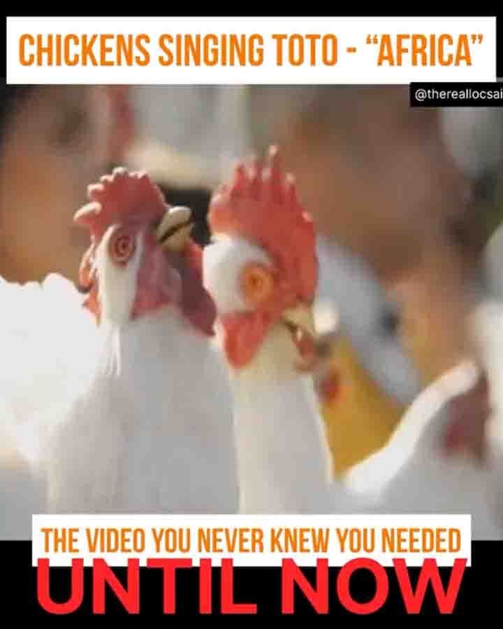 You still here 10 23 24