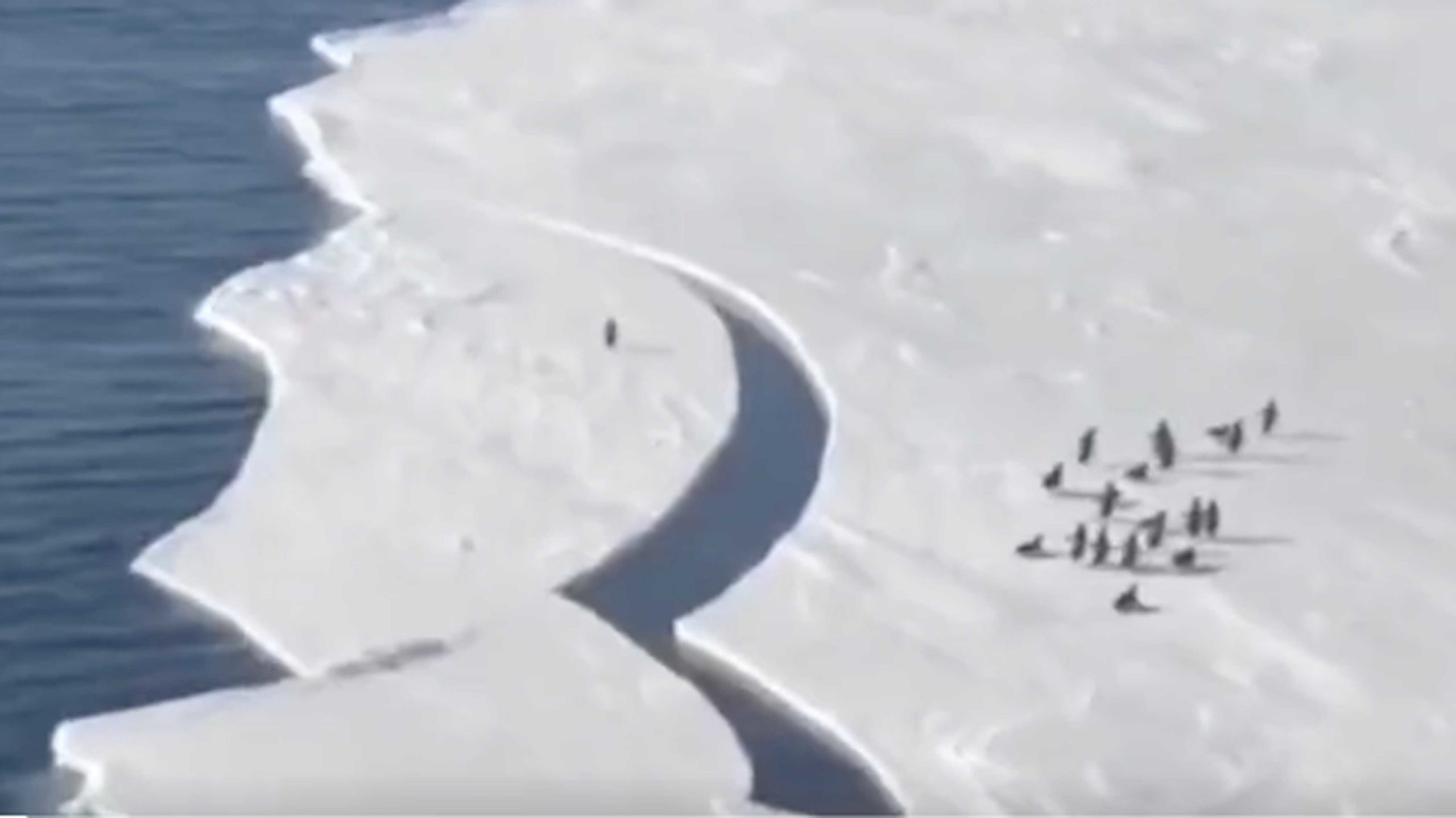 You still here 10 25 22 no play scaled