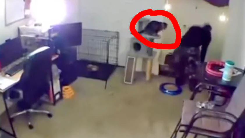 You still here 10 28 22