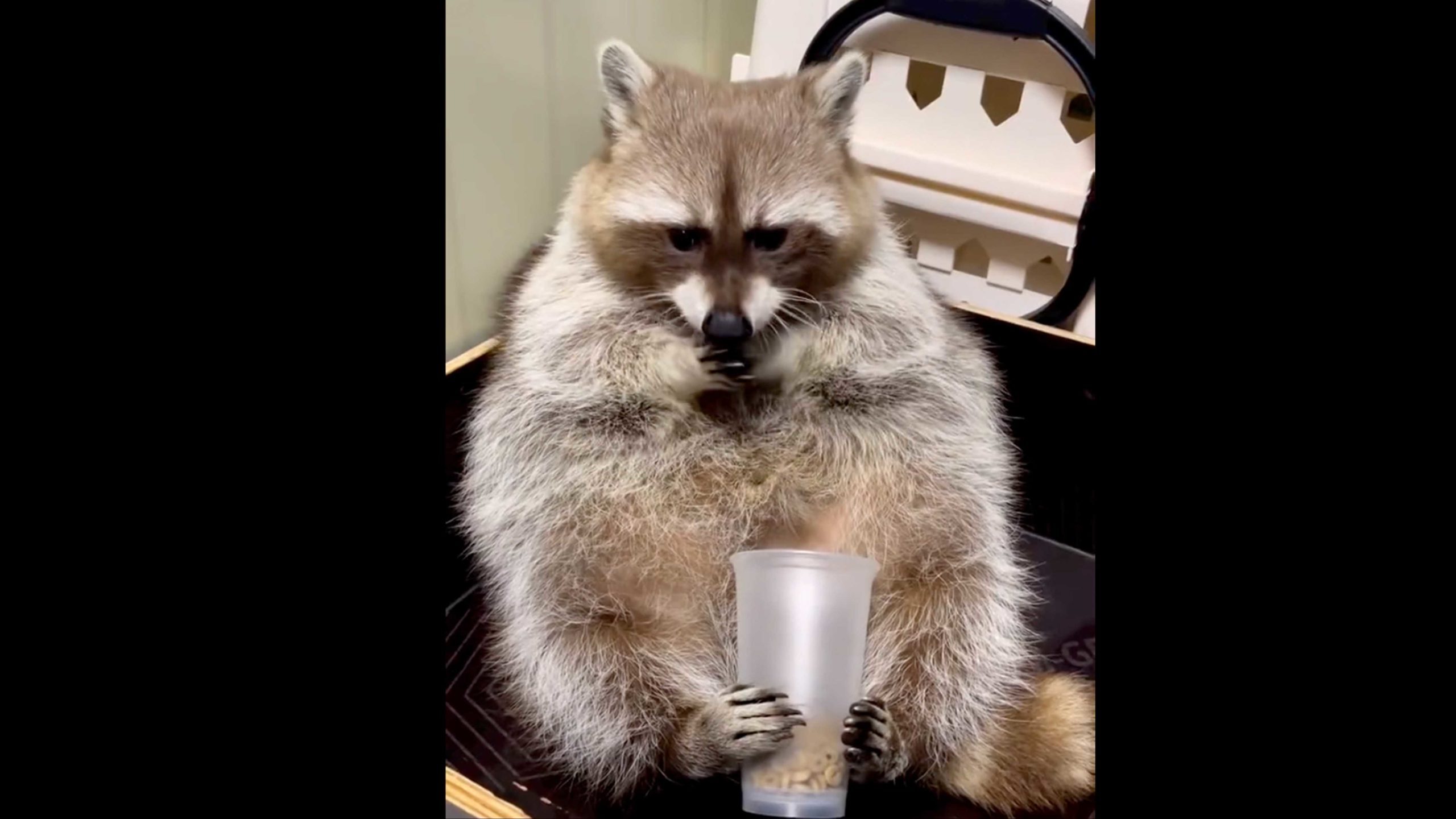 You still here 10 31 22 no play scaled