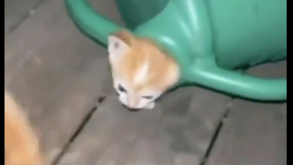 You still here 10 4 22 no play