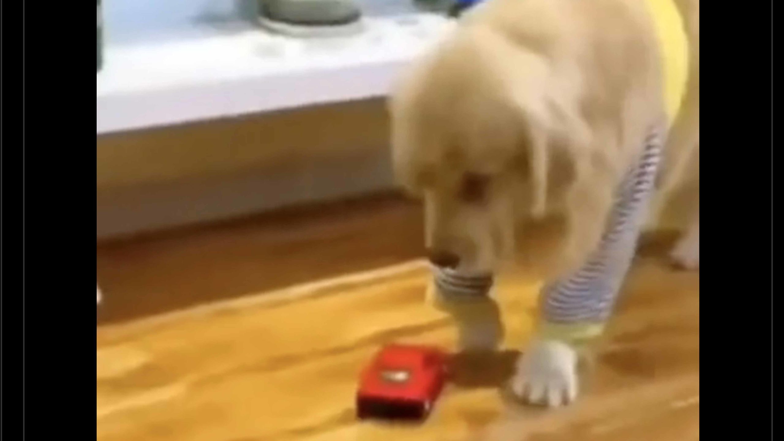 You still here 10 5 22 no play scaled