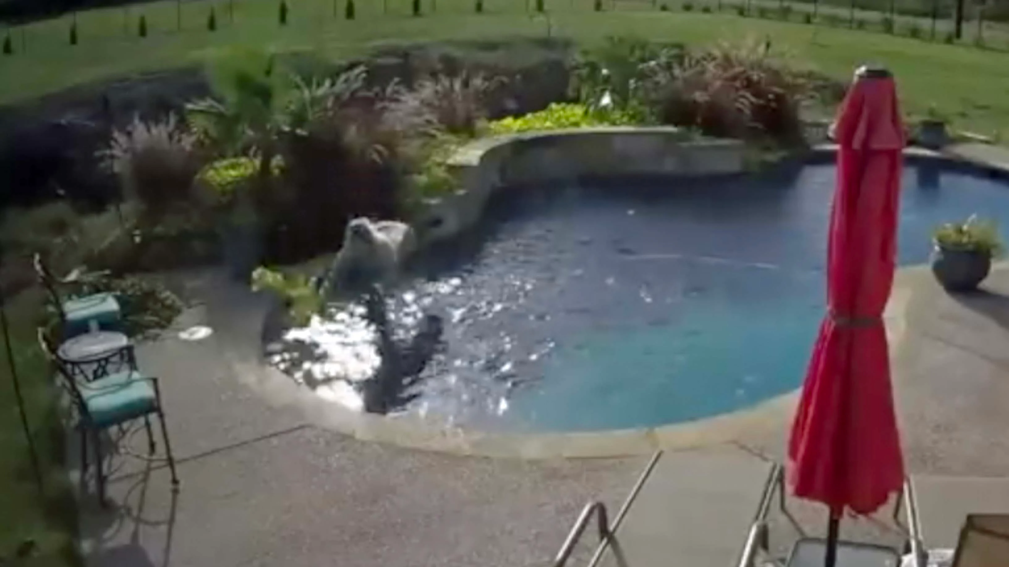 You still here 10 5 23