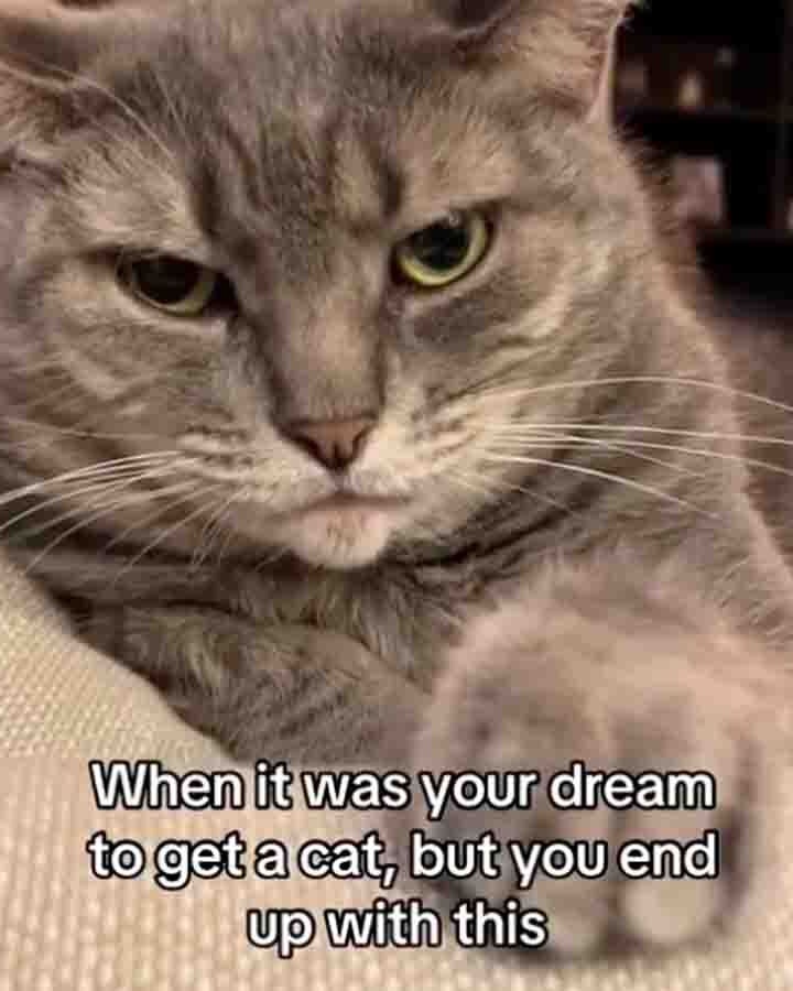 You still here 10 9 24