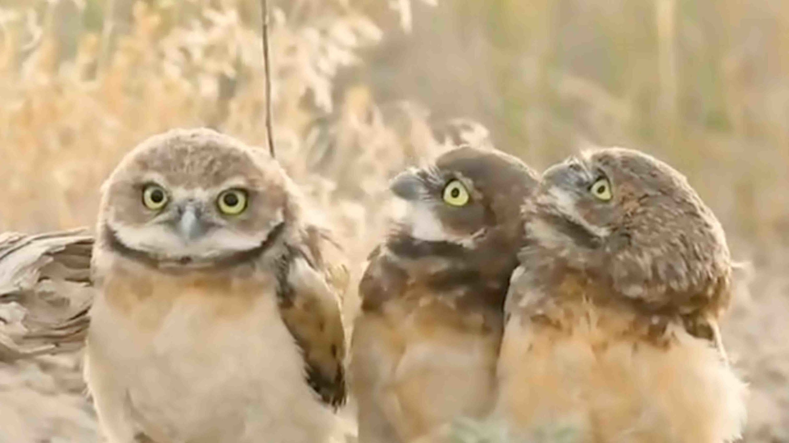 You still here 11 11 22 scaled