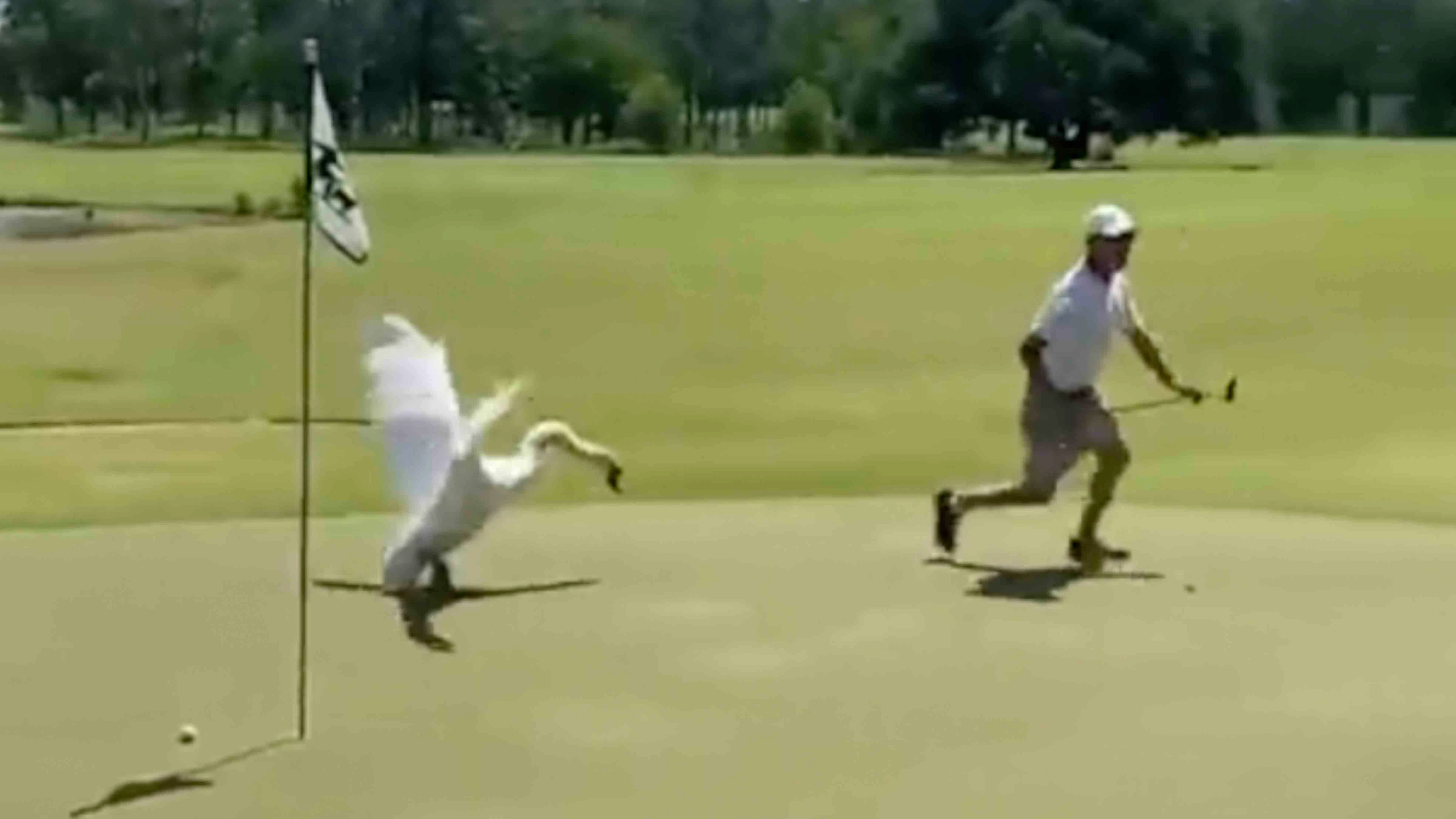 You still here 11 11 23