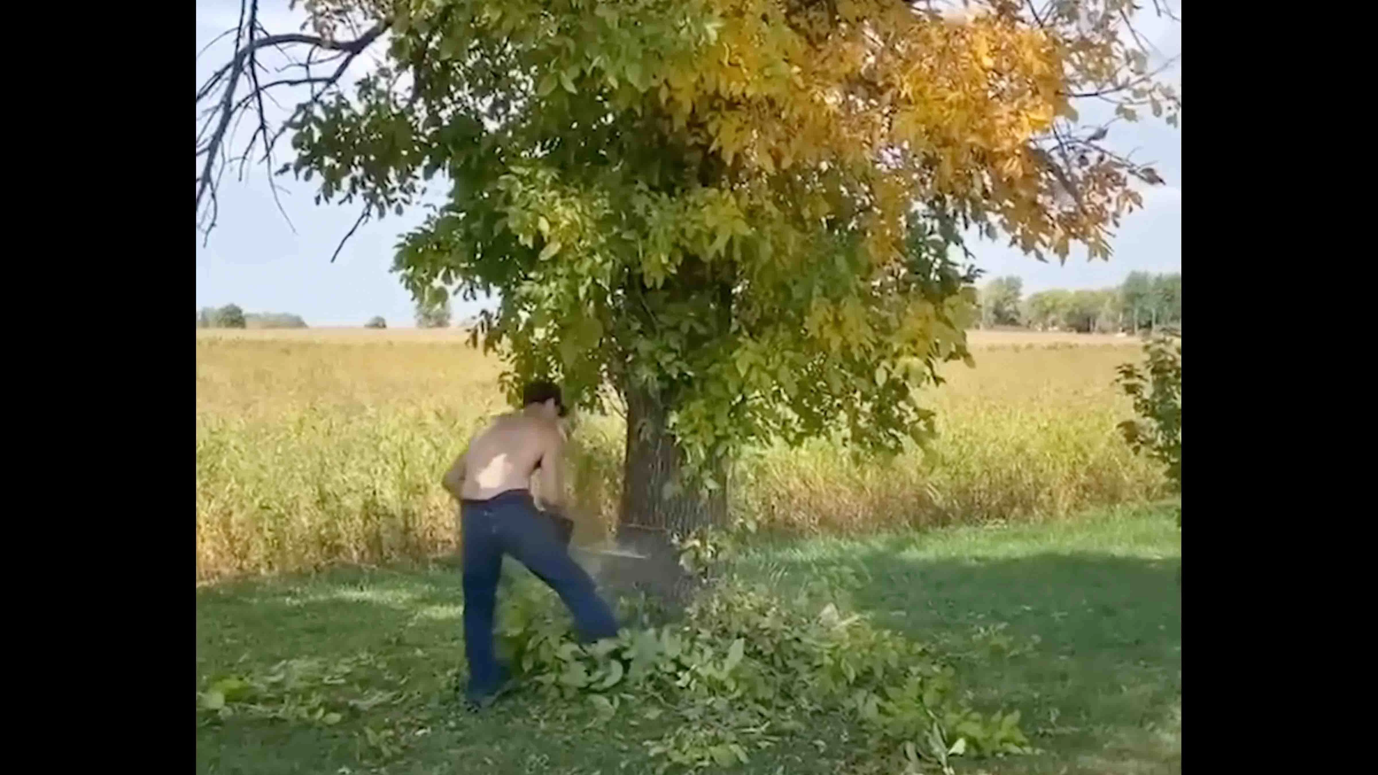 You still here 11 12 23