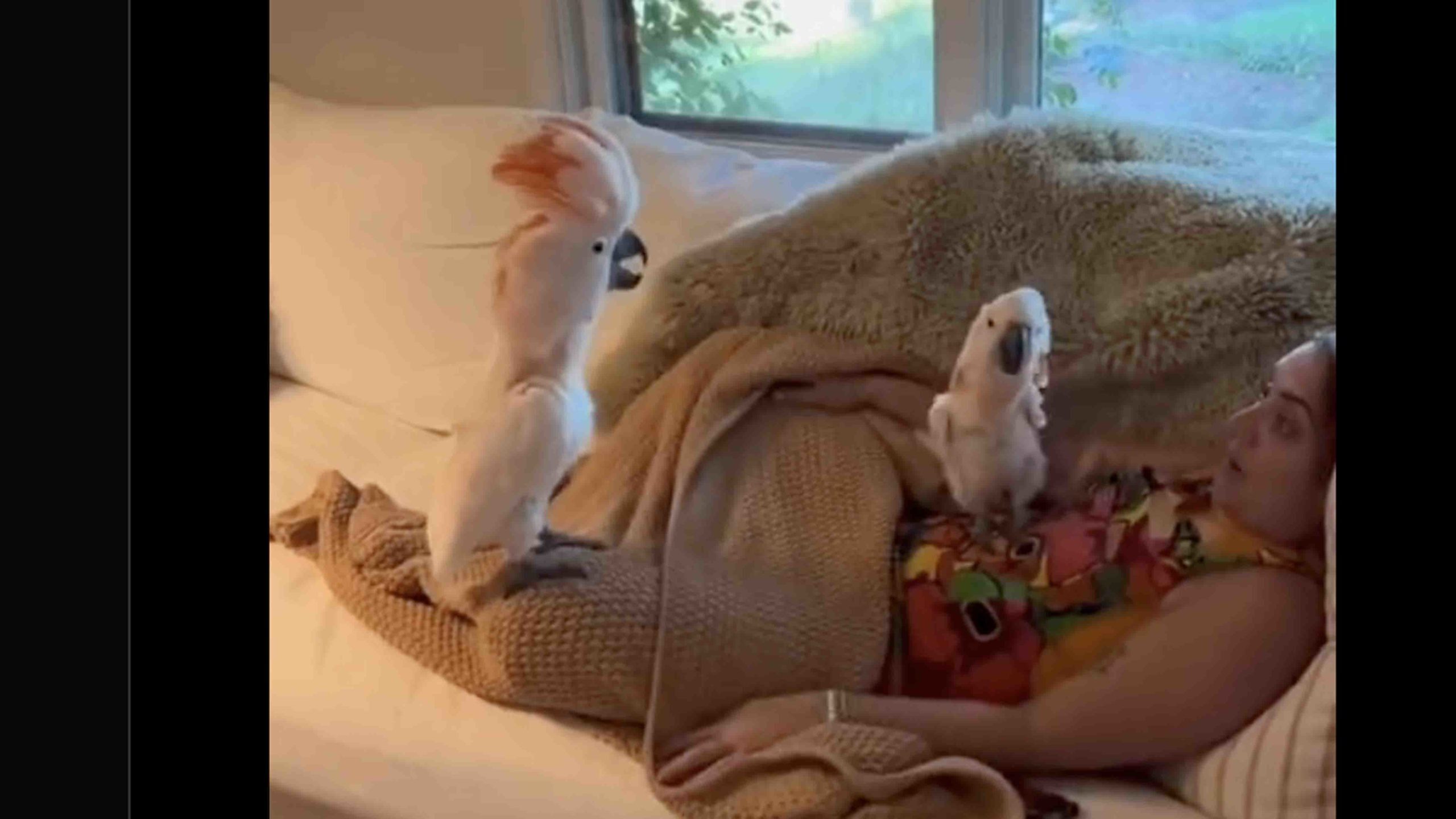 You still here 11 13 22 scaled