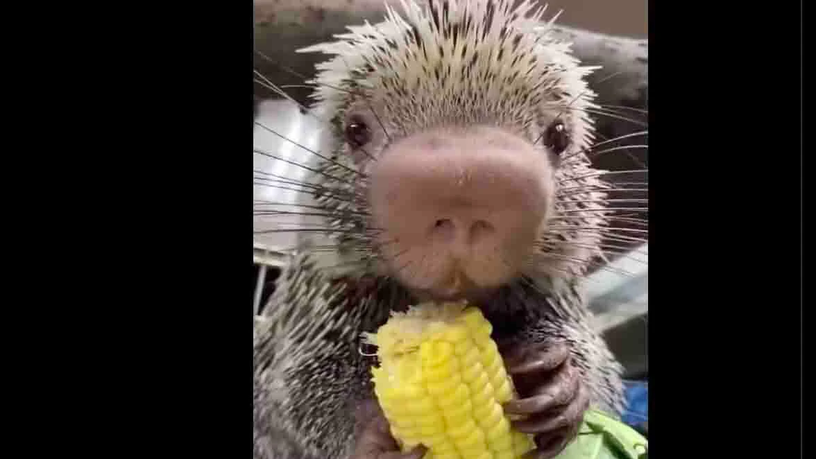 You still here 11 14 22