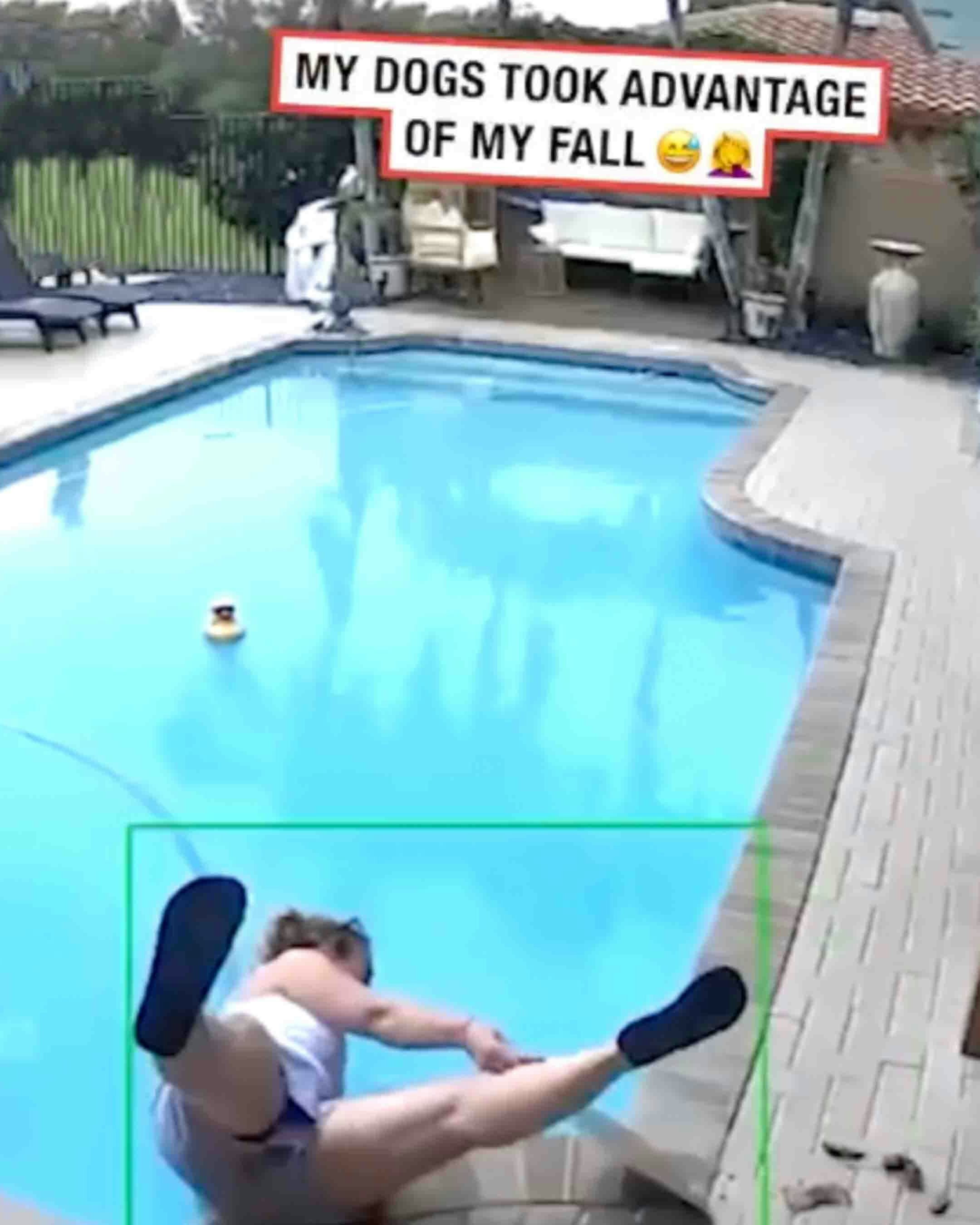 You still here 11 14 25