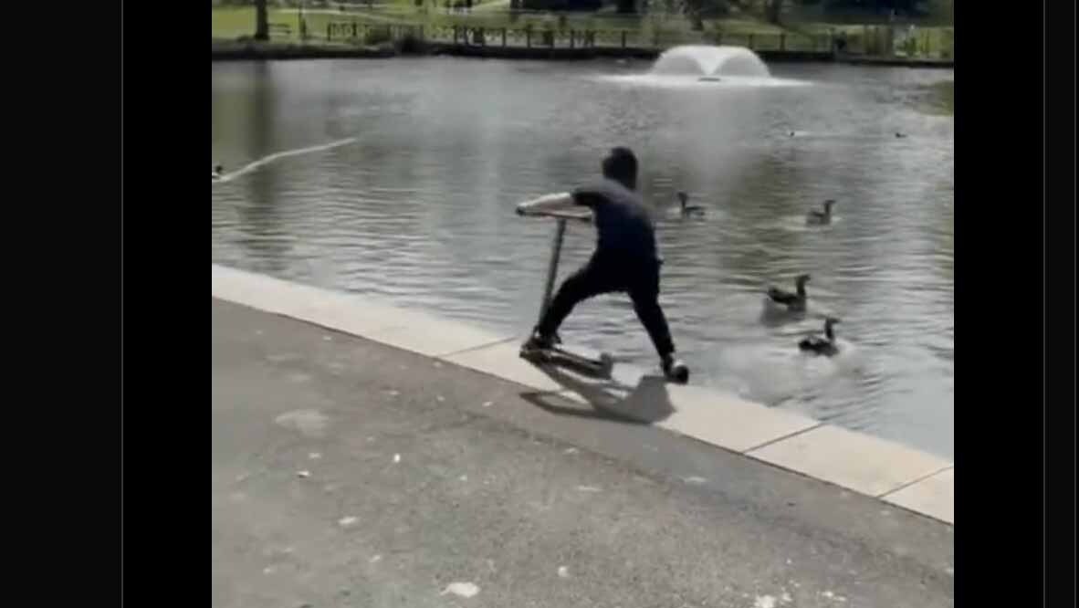 You still here 11 17 22