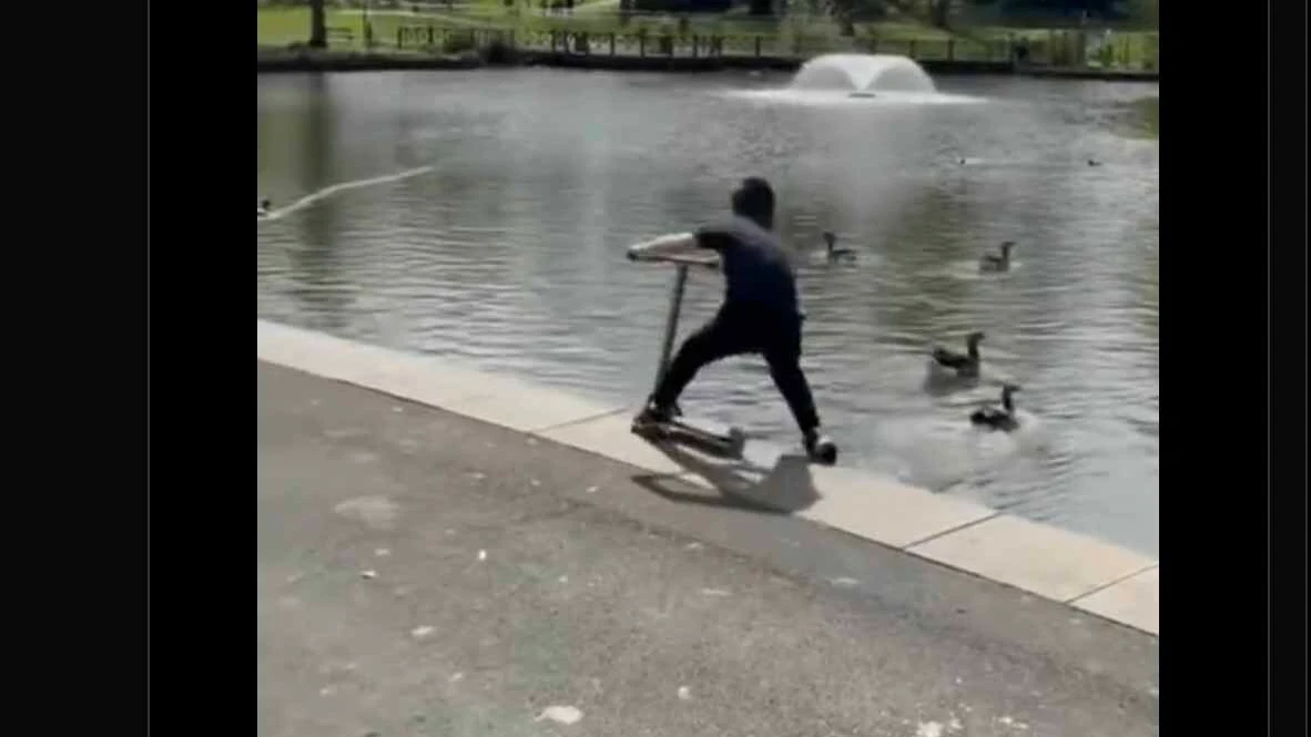 You still here 11 17 22