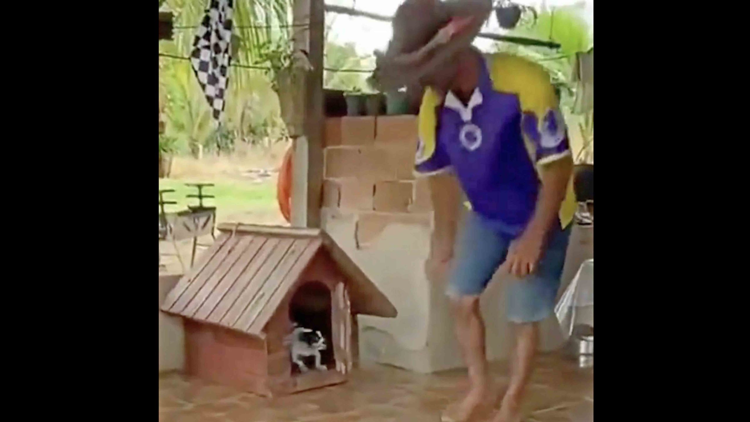 You still here 11 2 22 scaled