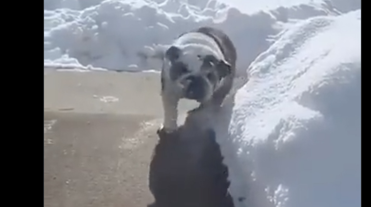 You still here 11 22 22 no play