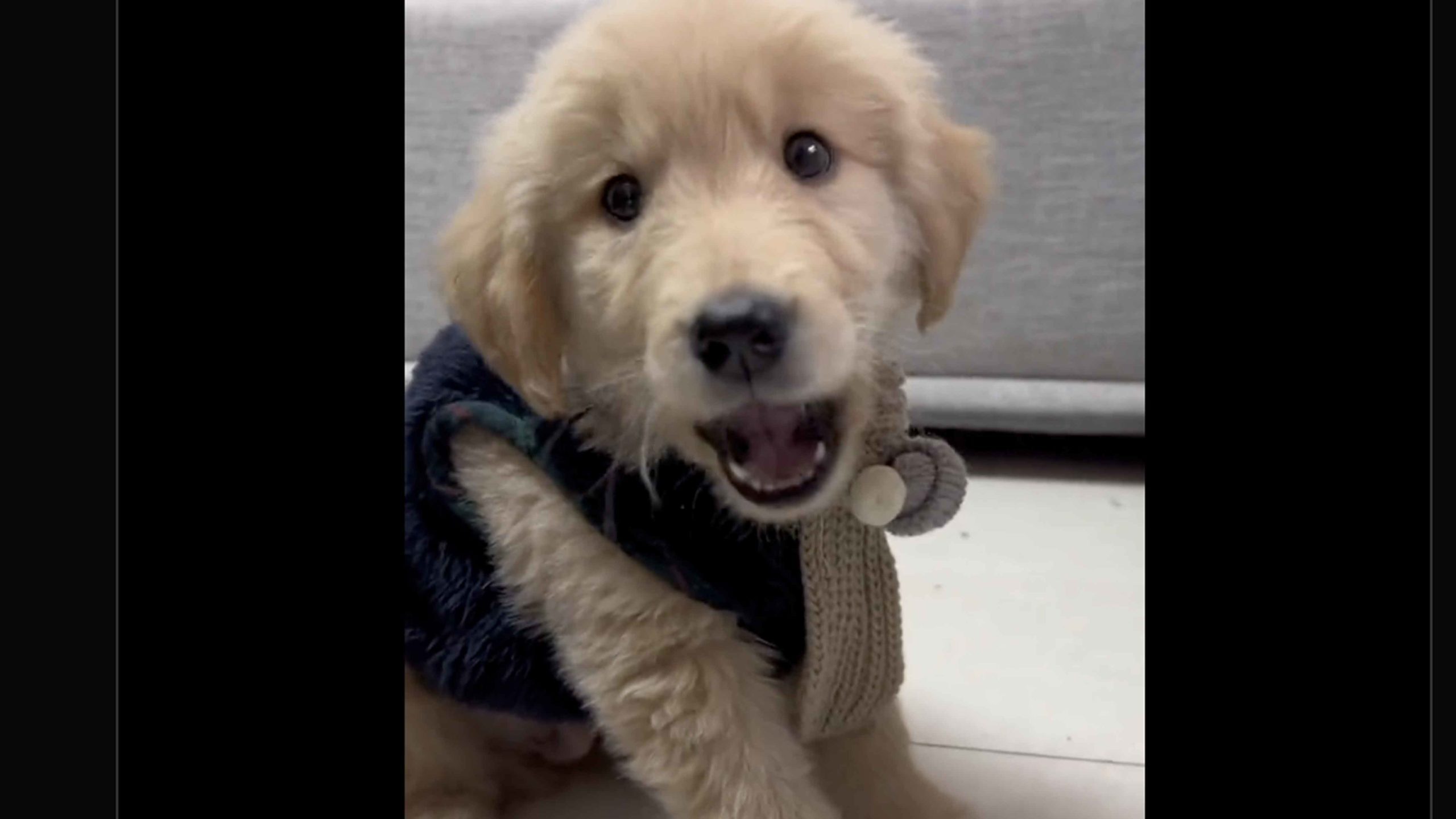 You still here 11 23 22 scaled