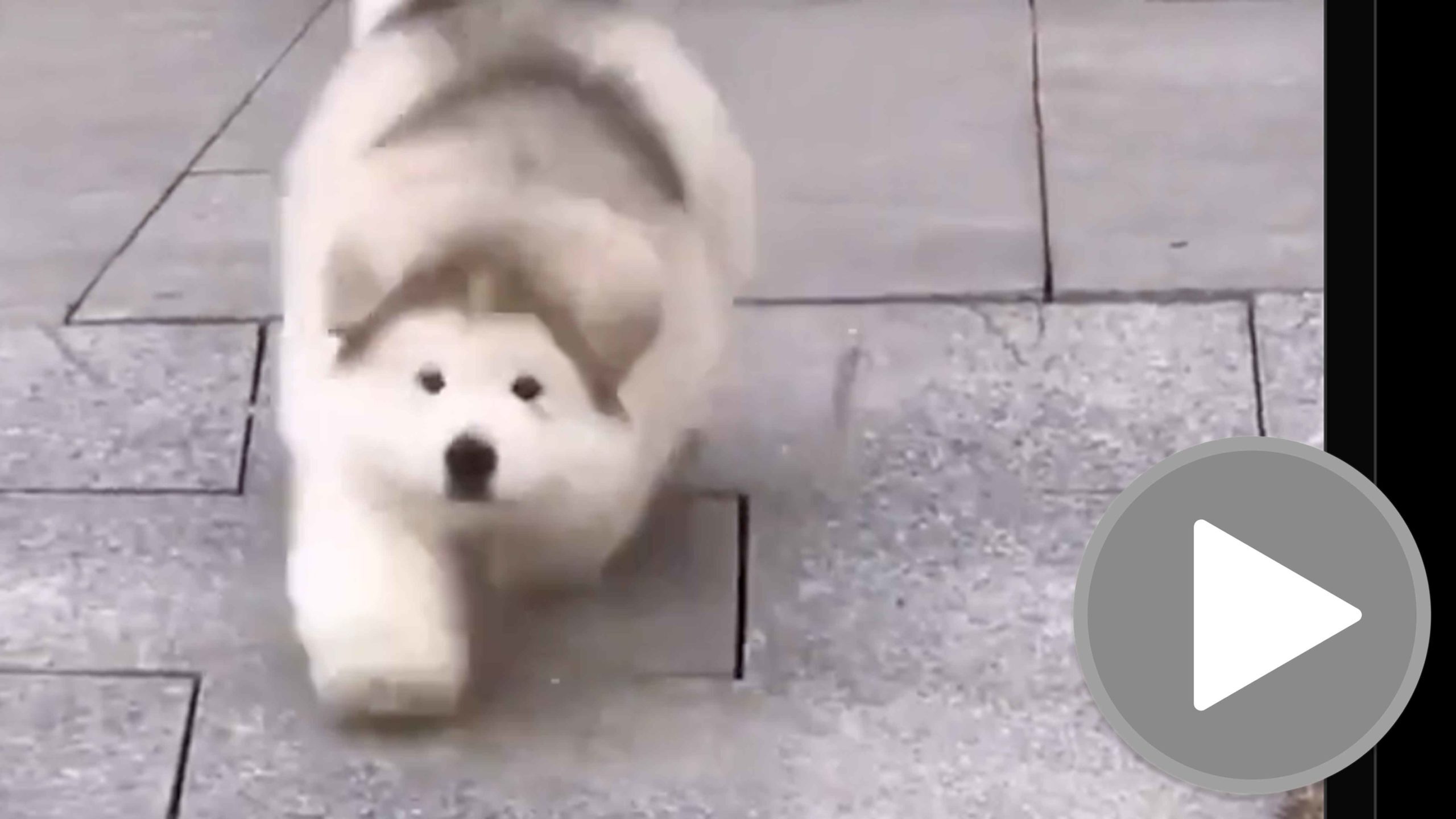 You still here 11 24 22 play scaled