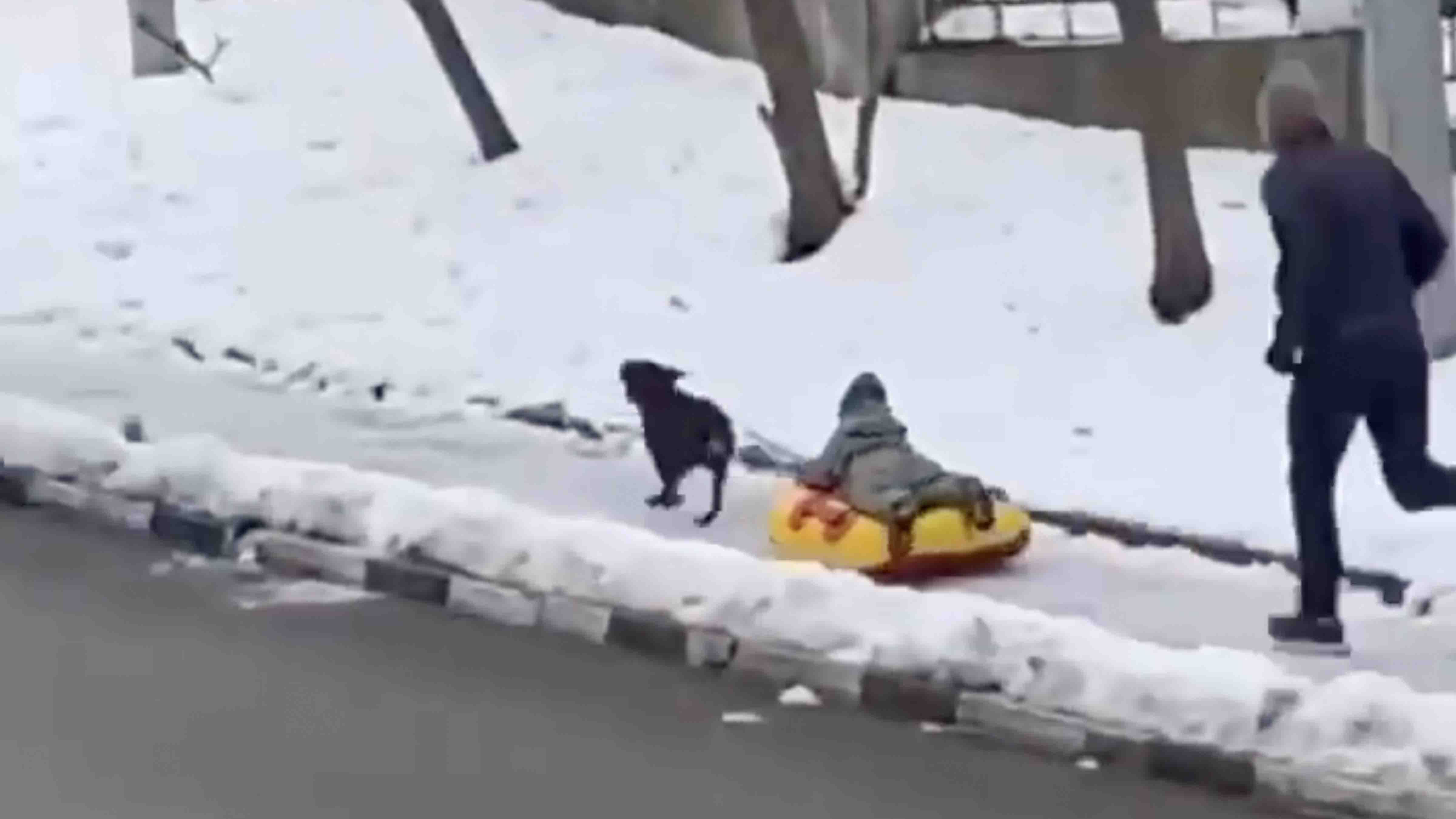 You still here 11 28 23