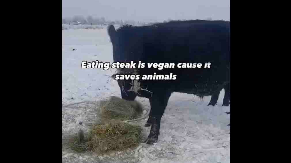 You still here 11 29 24