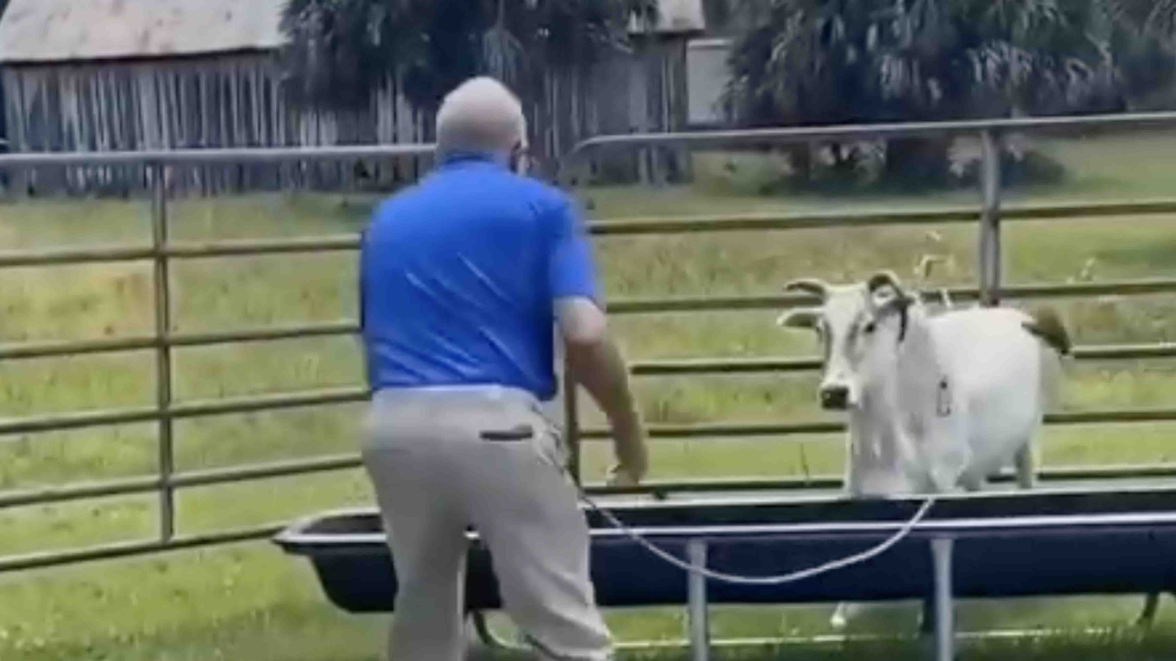 You still here 11 30 24