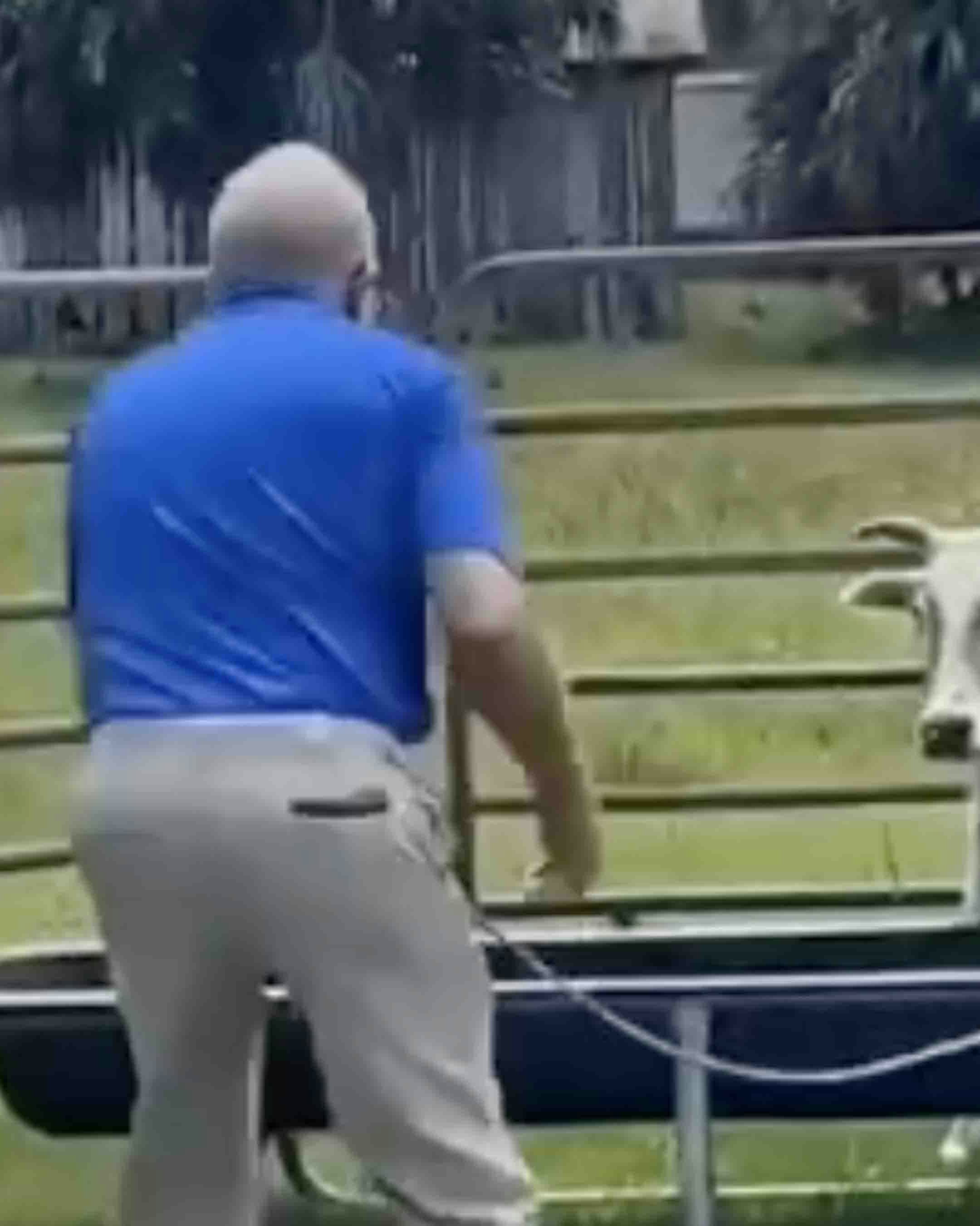 You still here 11 30 24