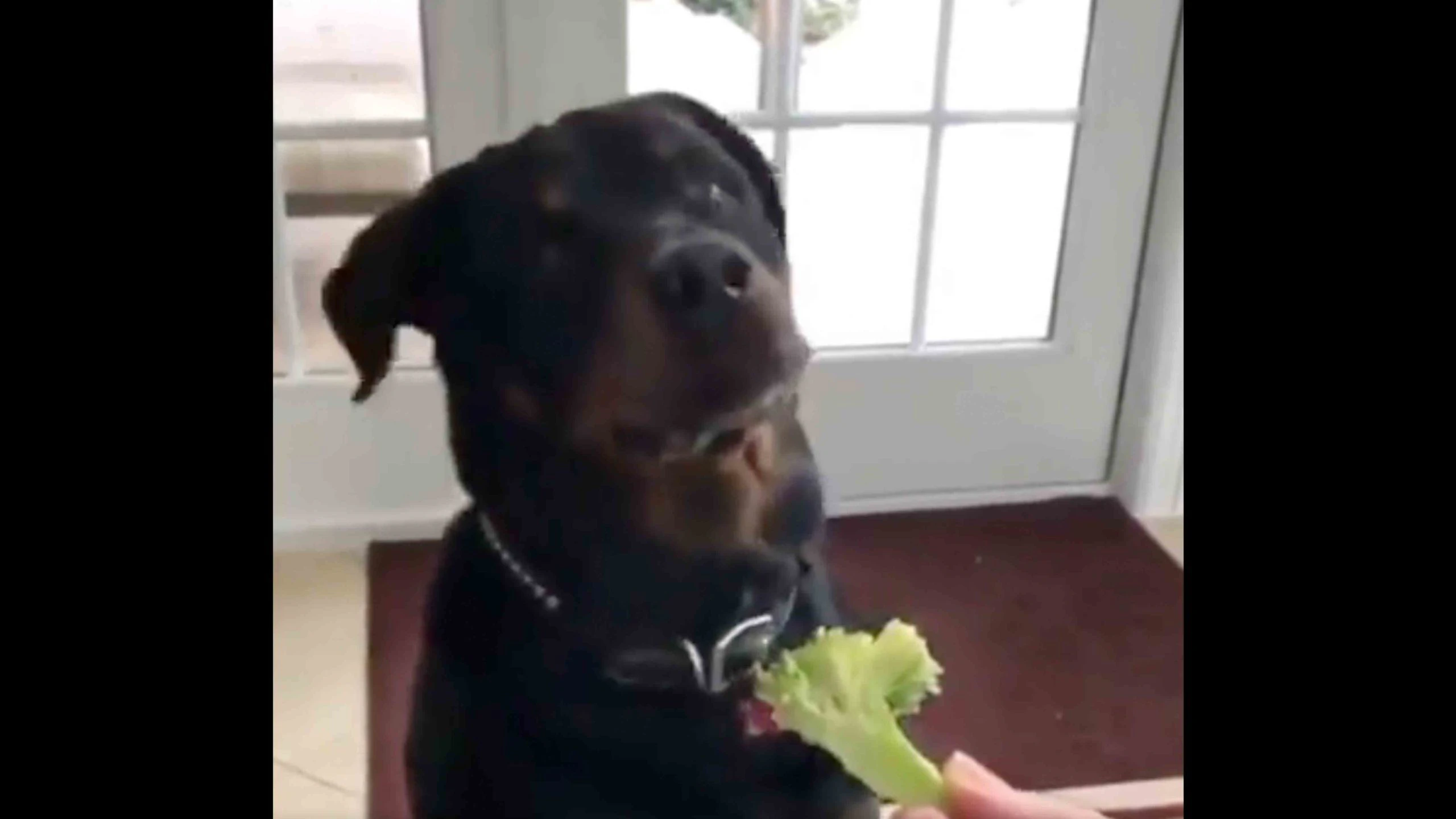 You still here 11 8 22 scaled