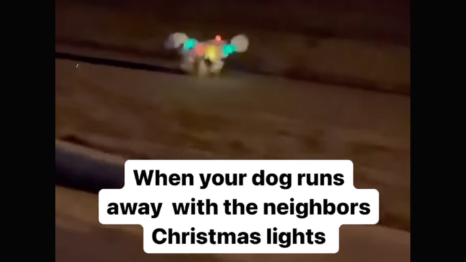 You still here 12 25 25