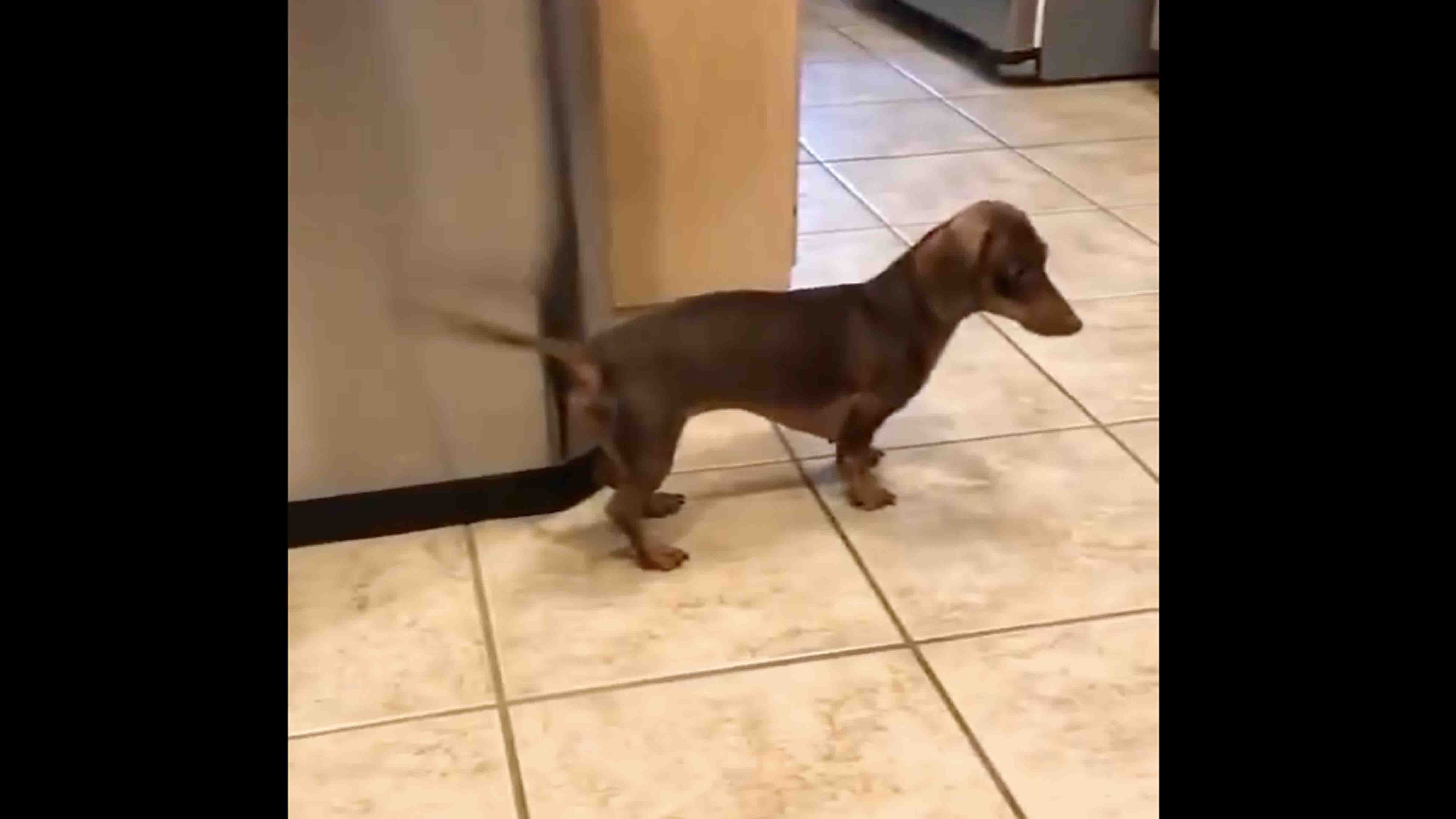 You still here 12 28 24