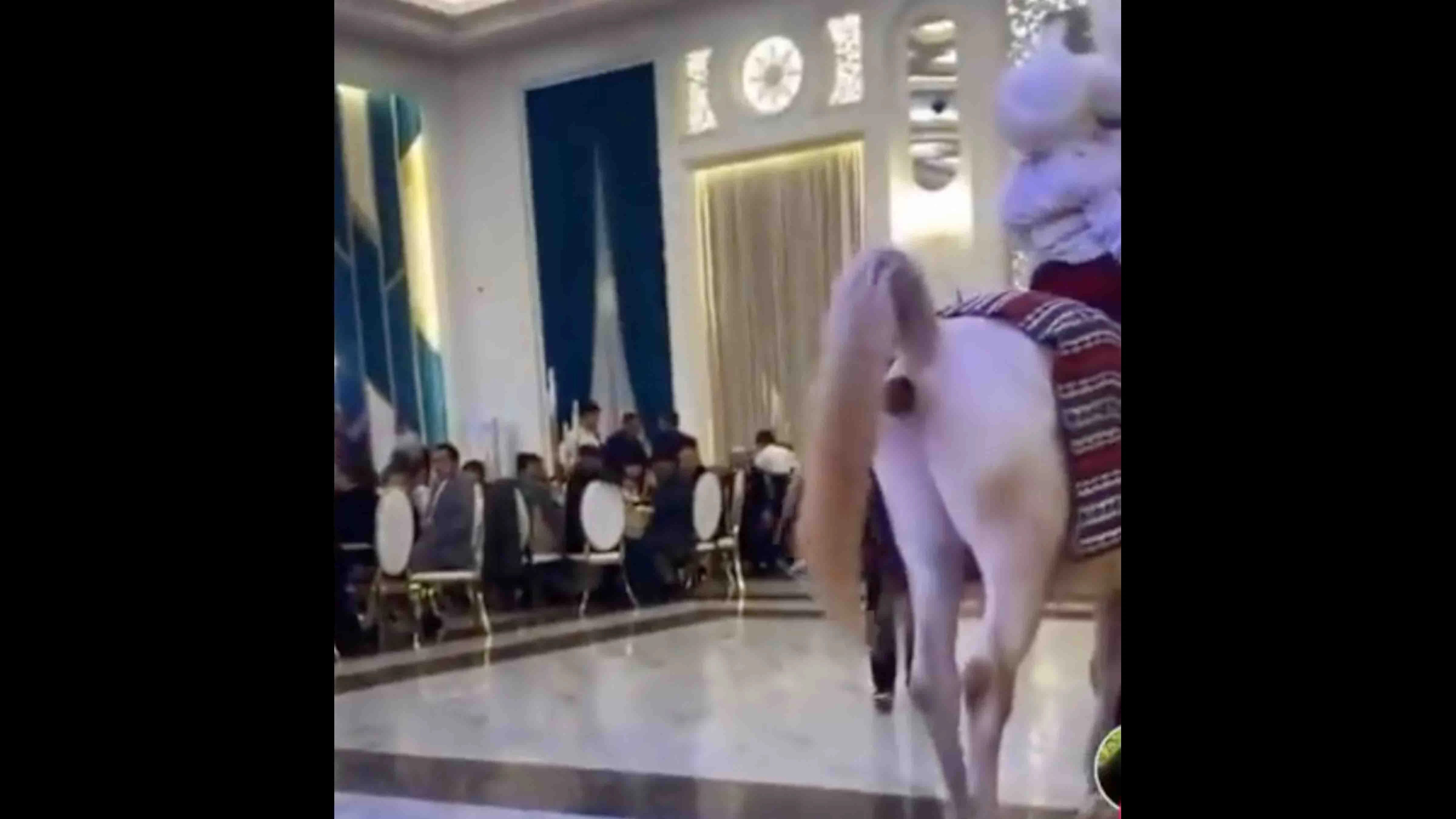 You still here 12 5 23