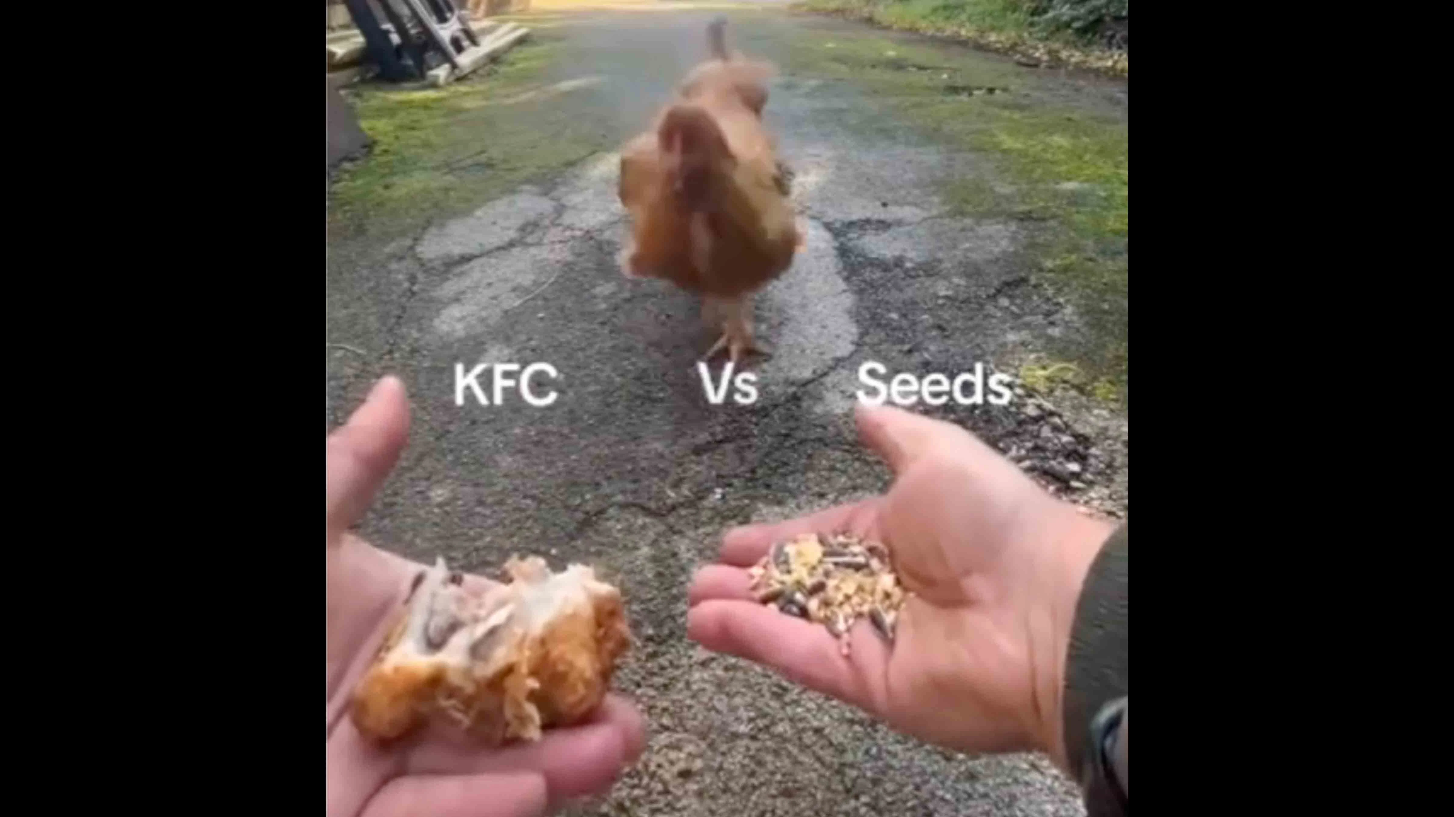 You still here 2 10 24