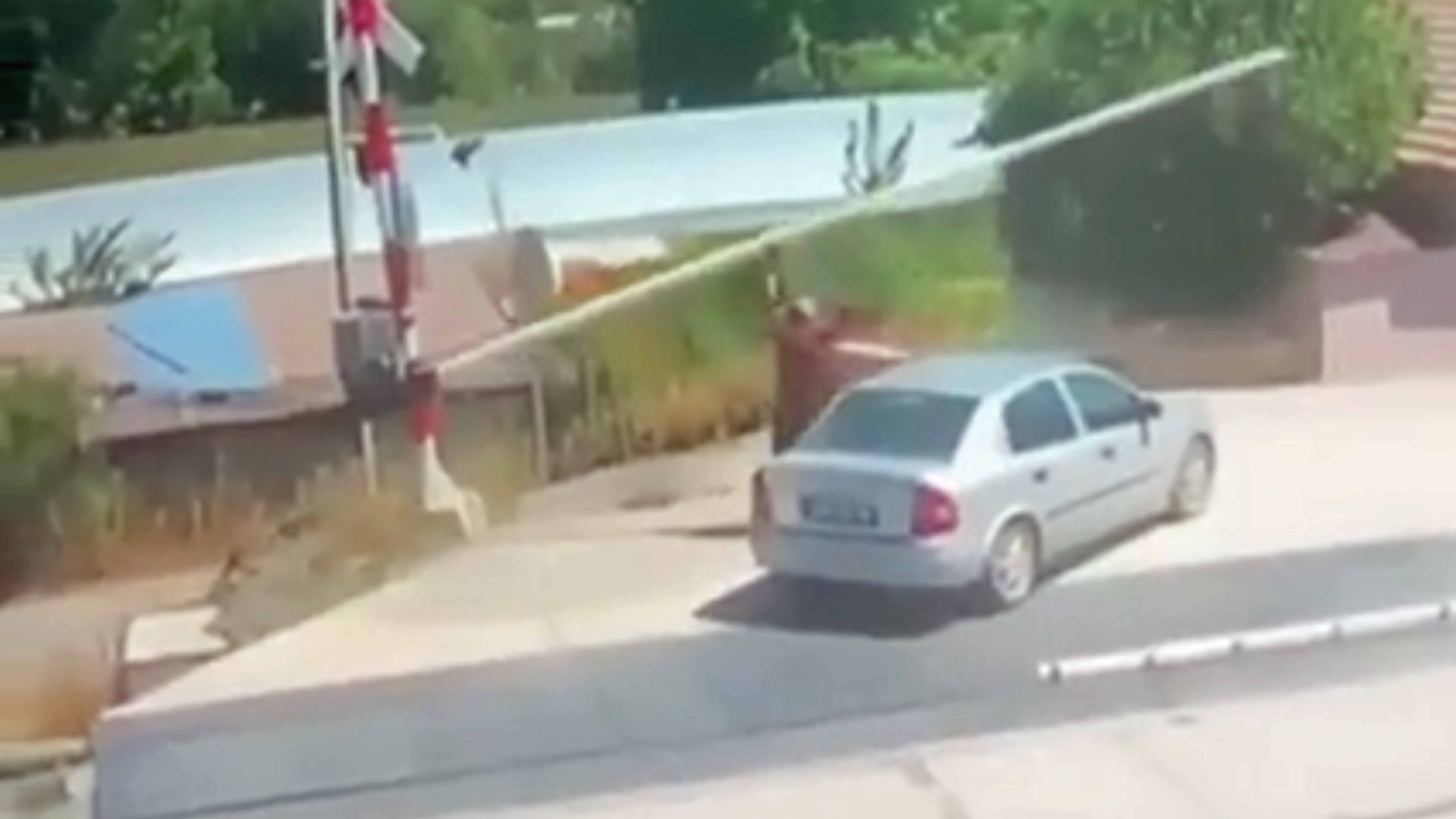 You still here 2 13 23 1