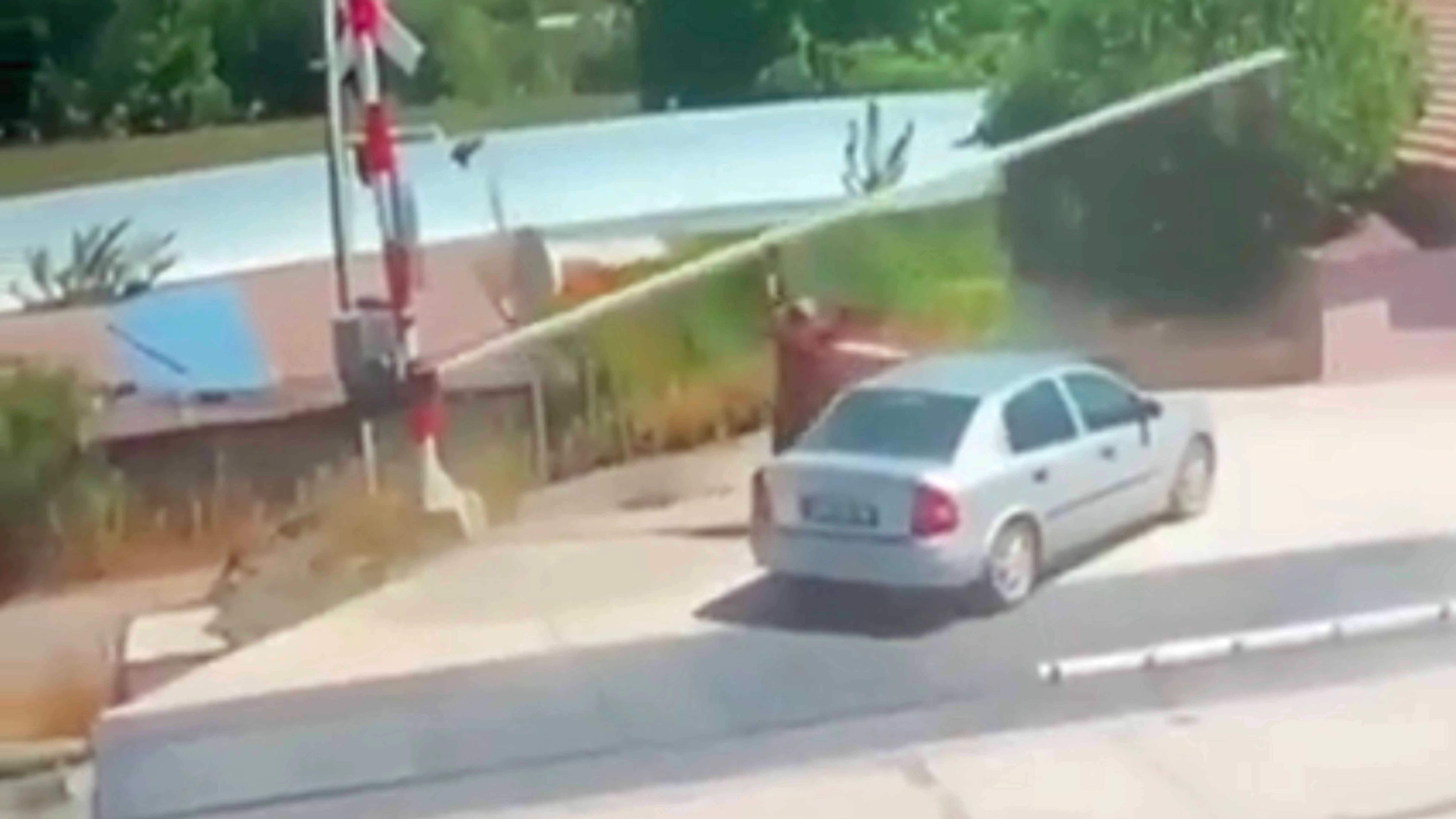 You still here 2 13 23 1