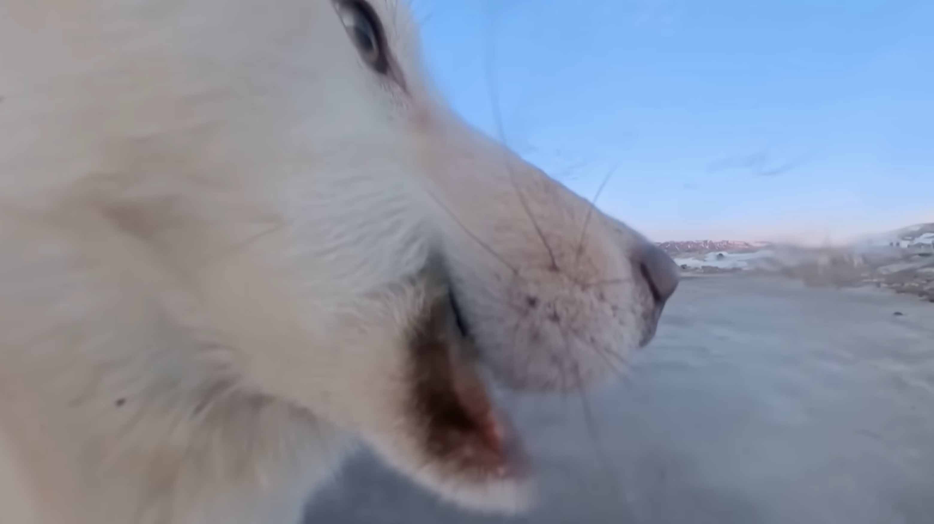 You still here 2 16 26