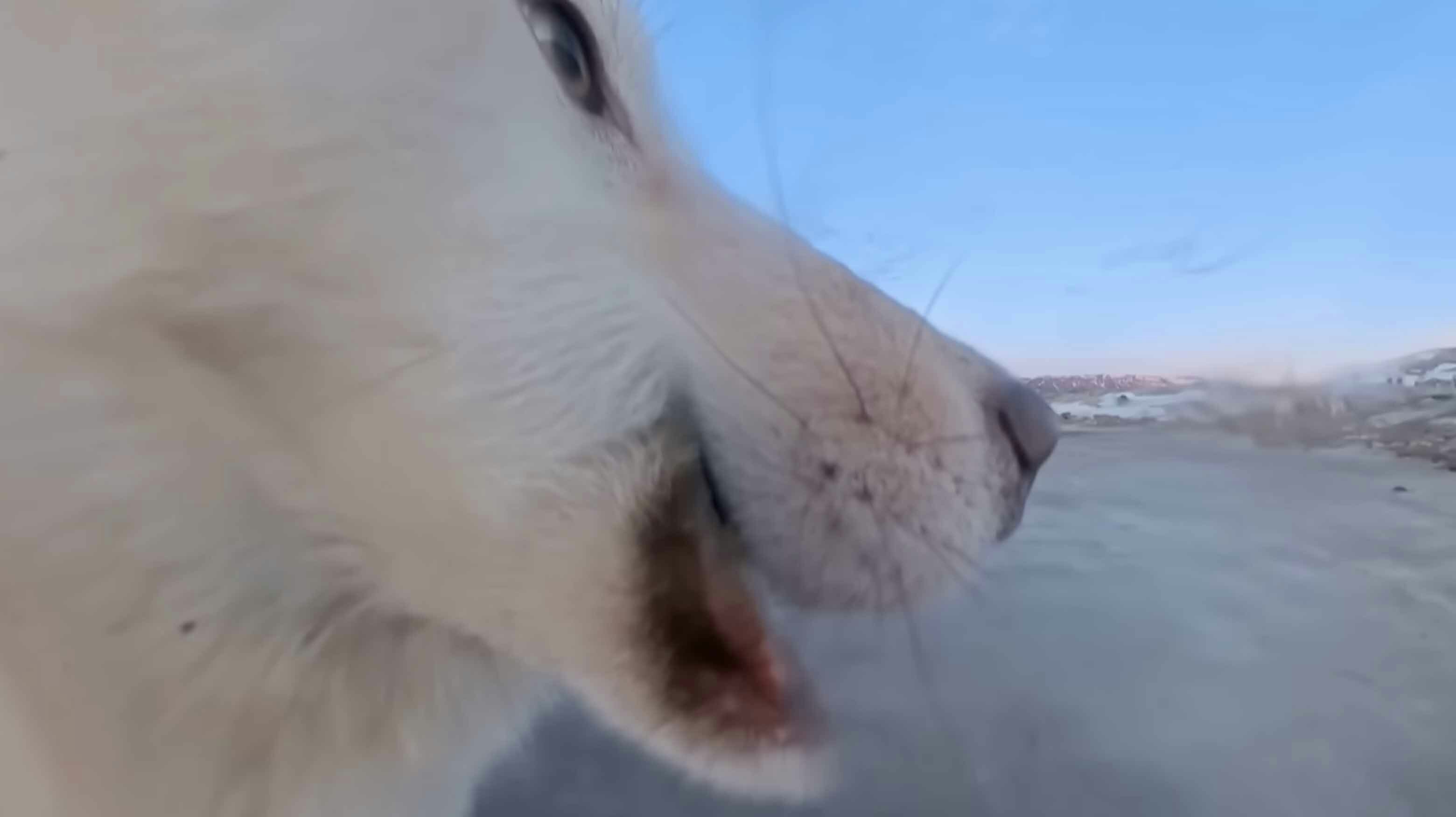 You still here 2 16 26