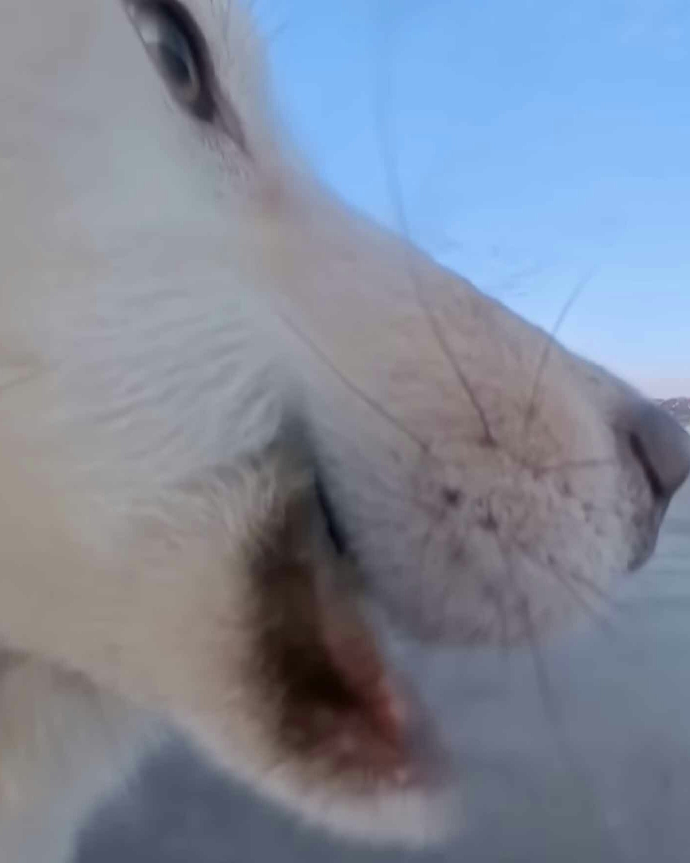 You still here 2 16 26