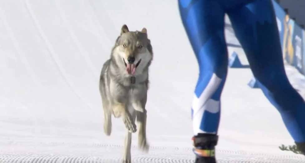 You still here 2 19 26