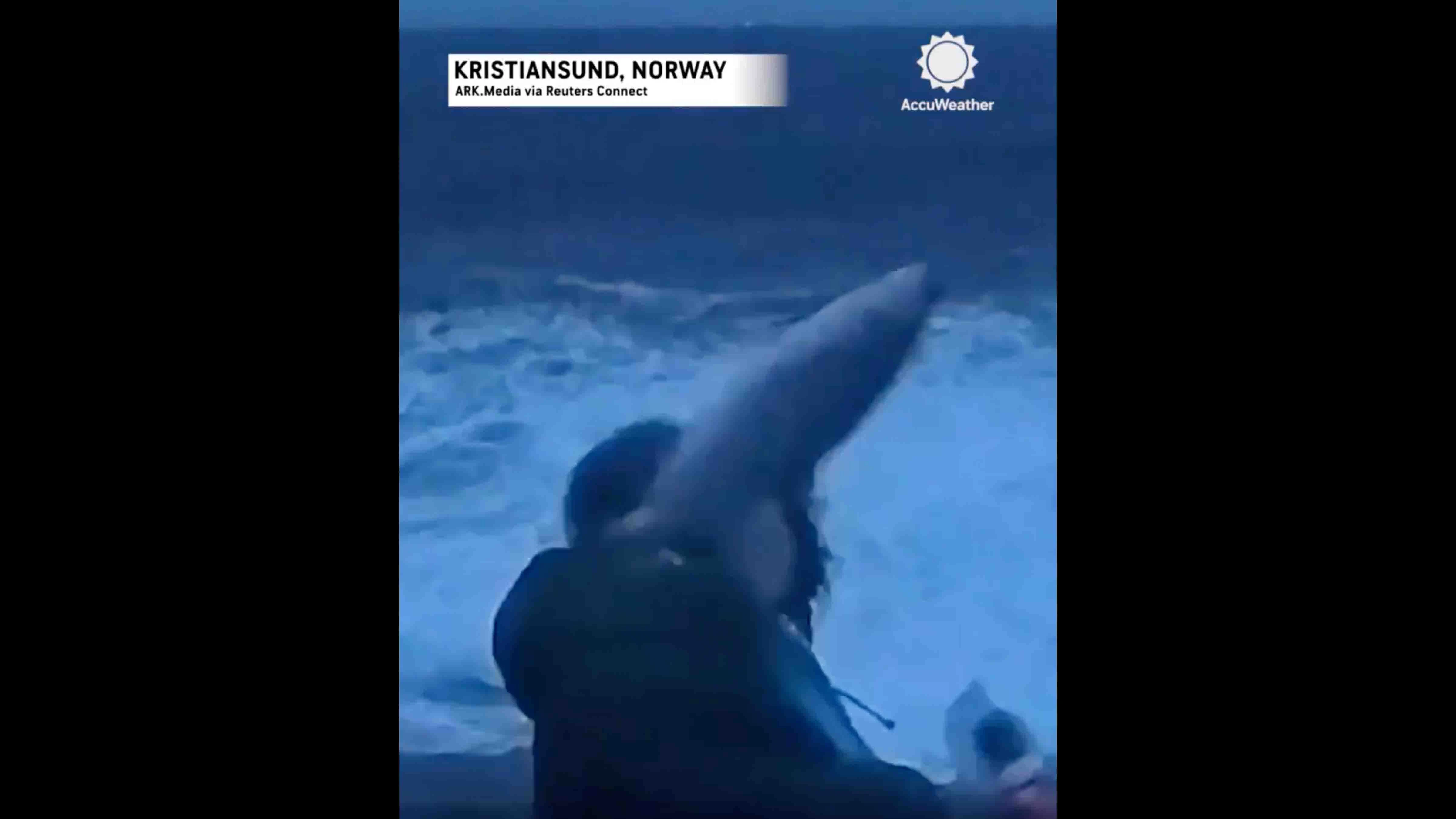 You still here 2 25 24