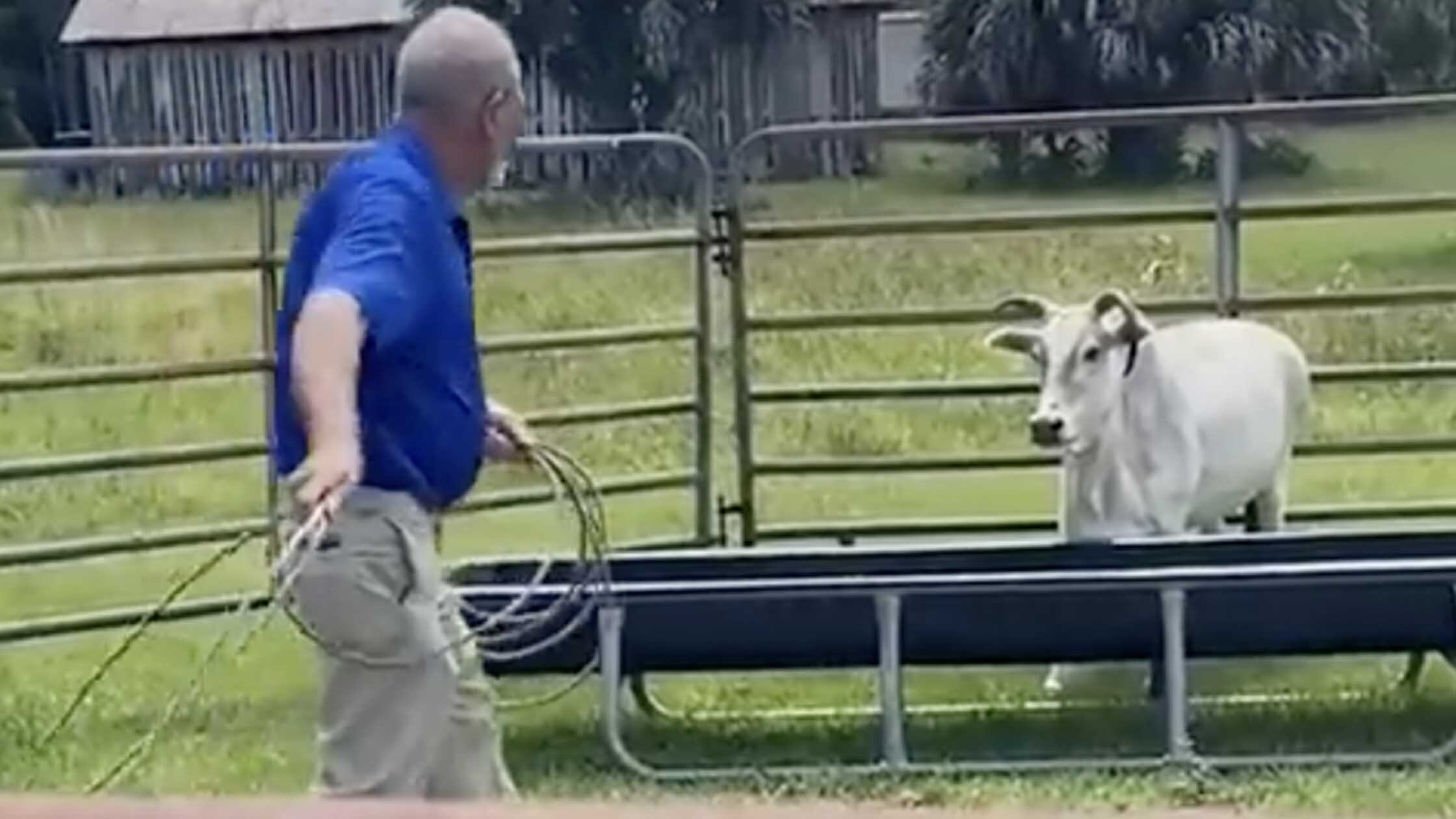 You still here 3 20 23