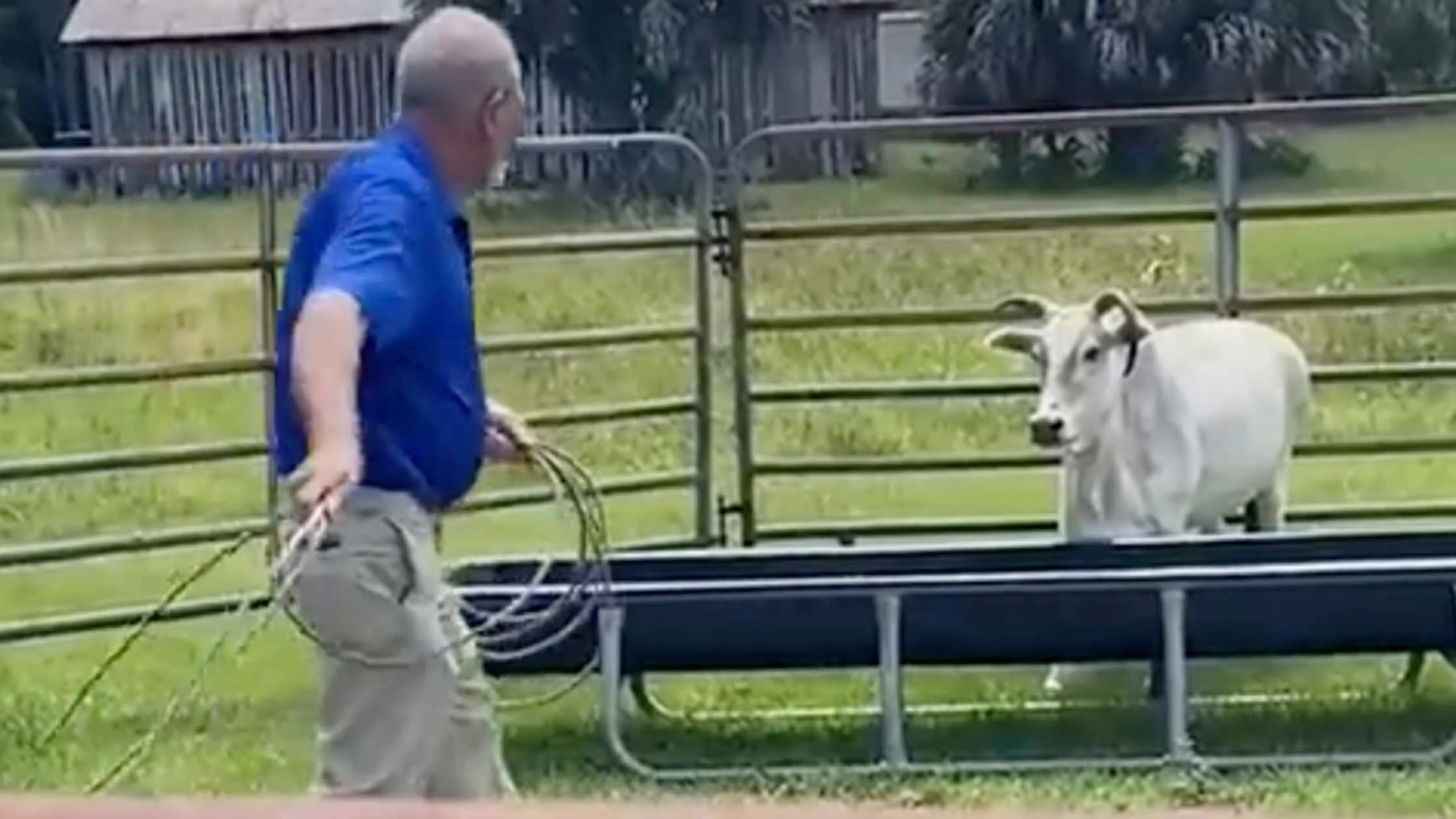 You still here 3 20 23