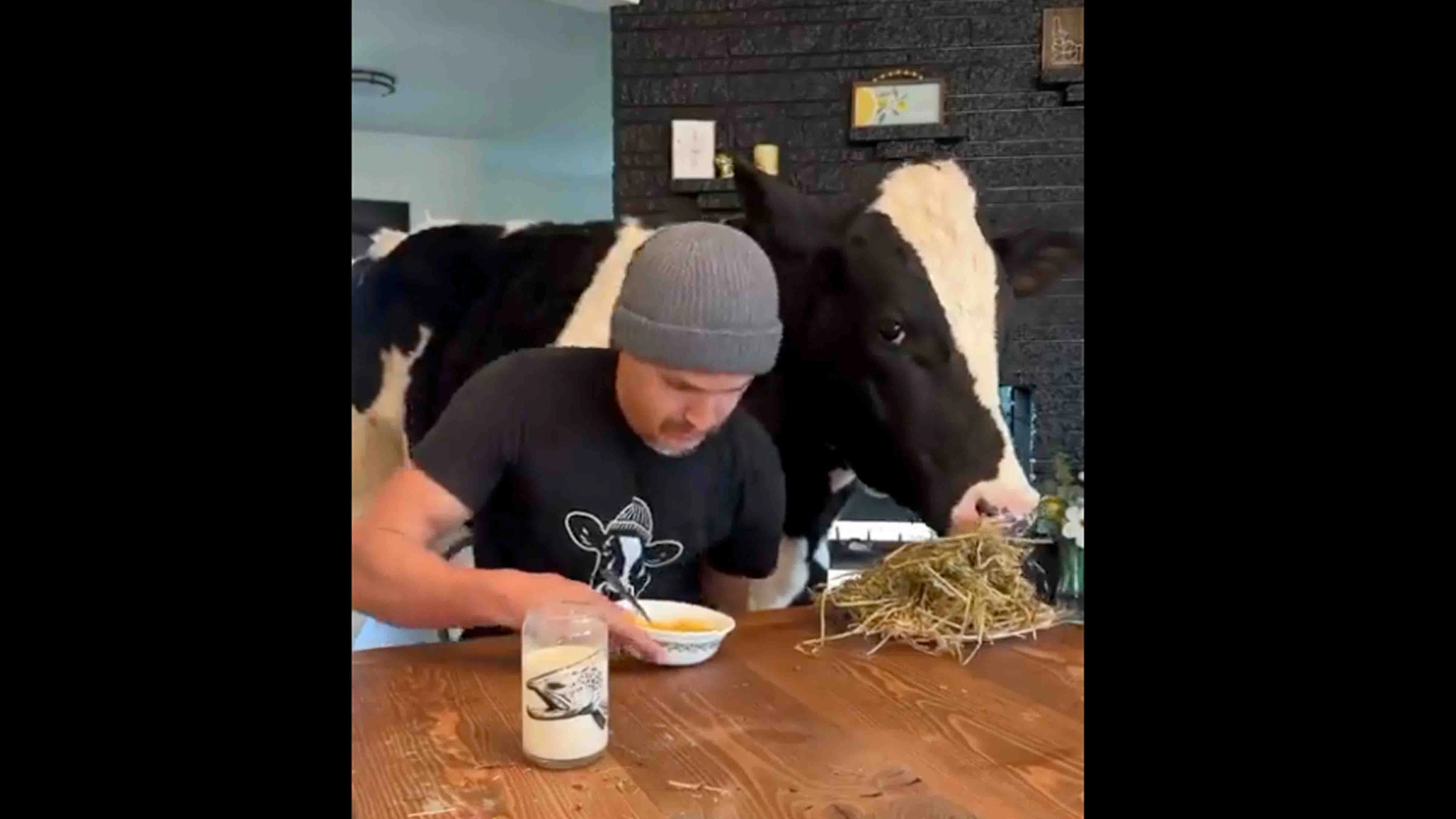 You still here 3 25 24