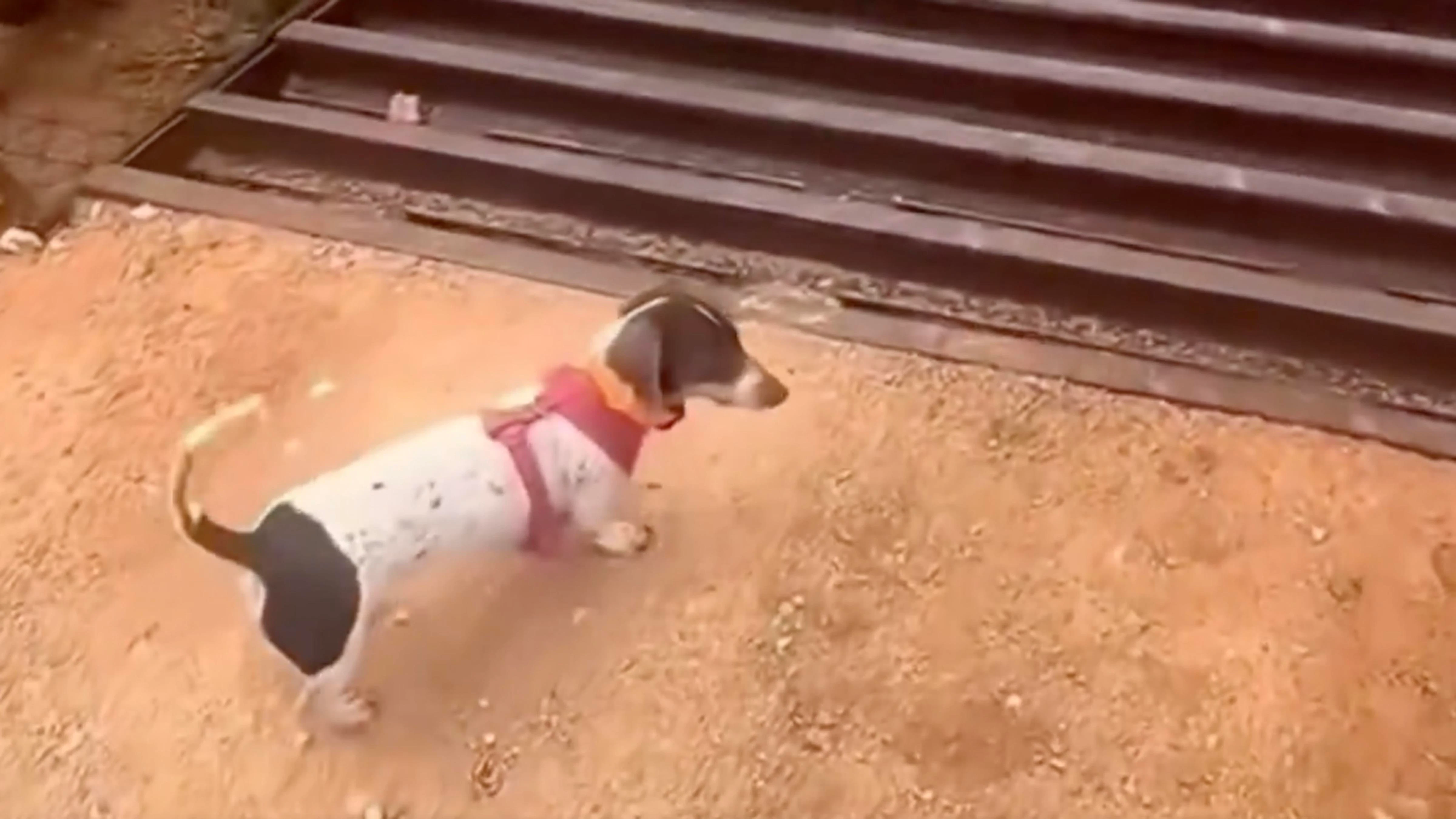 You still here 4 2 26