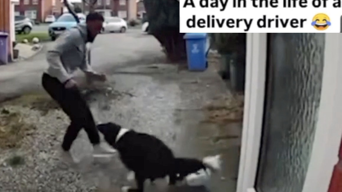 You still here 4 23 25