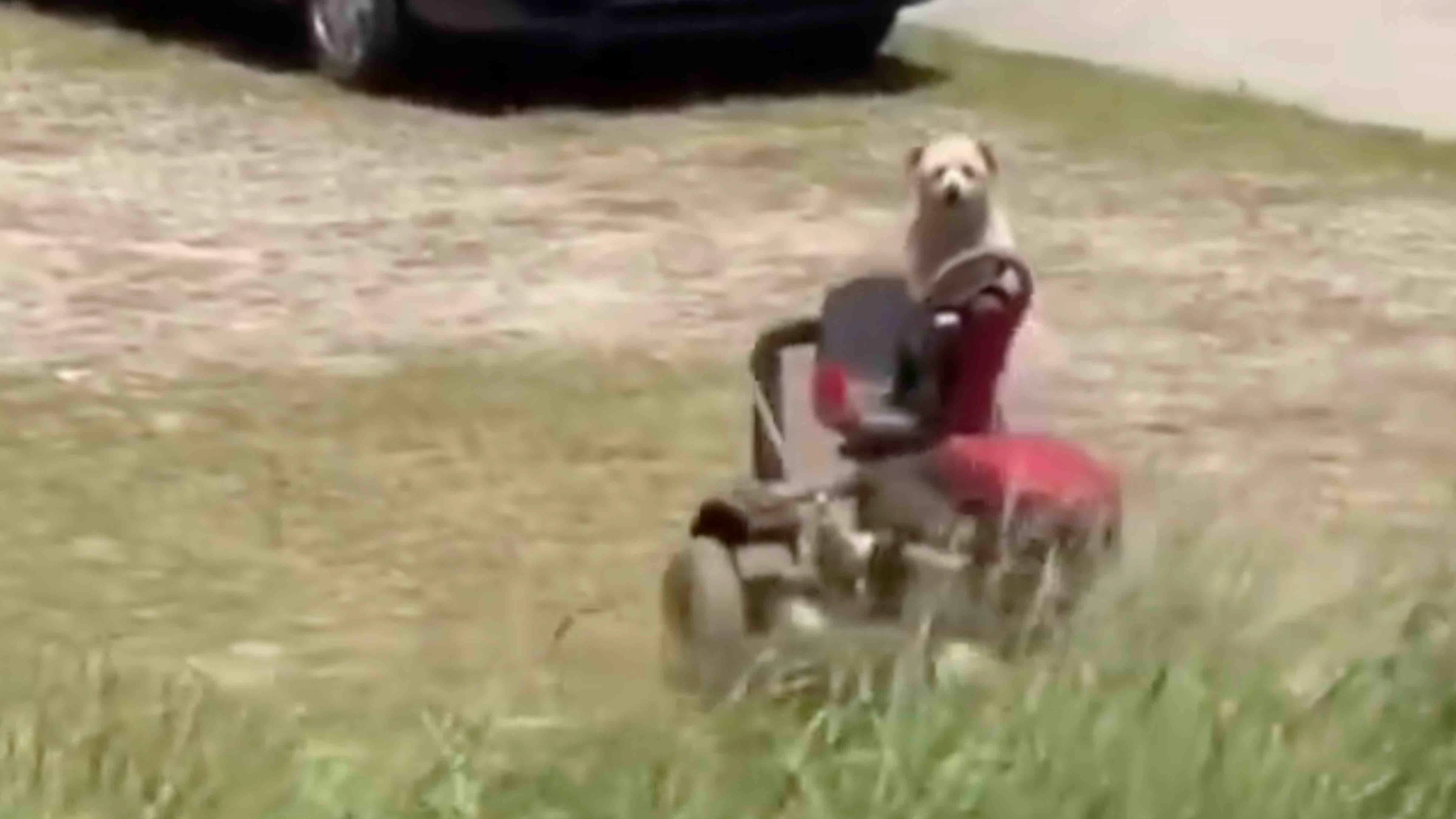 You still here 4 26 23