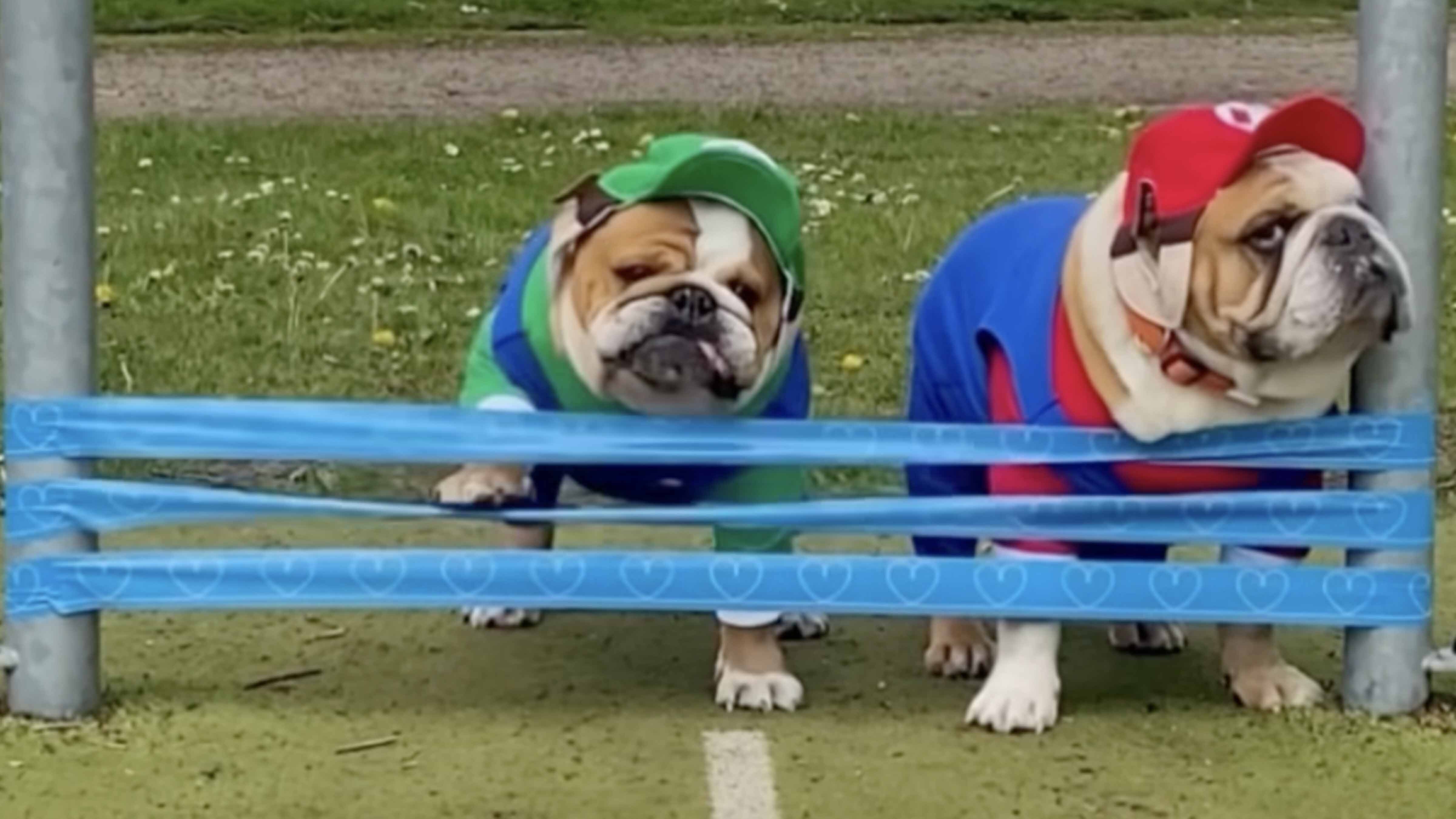 You still here 4 3 26