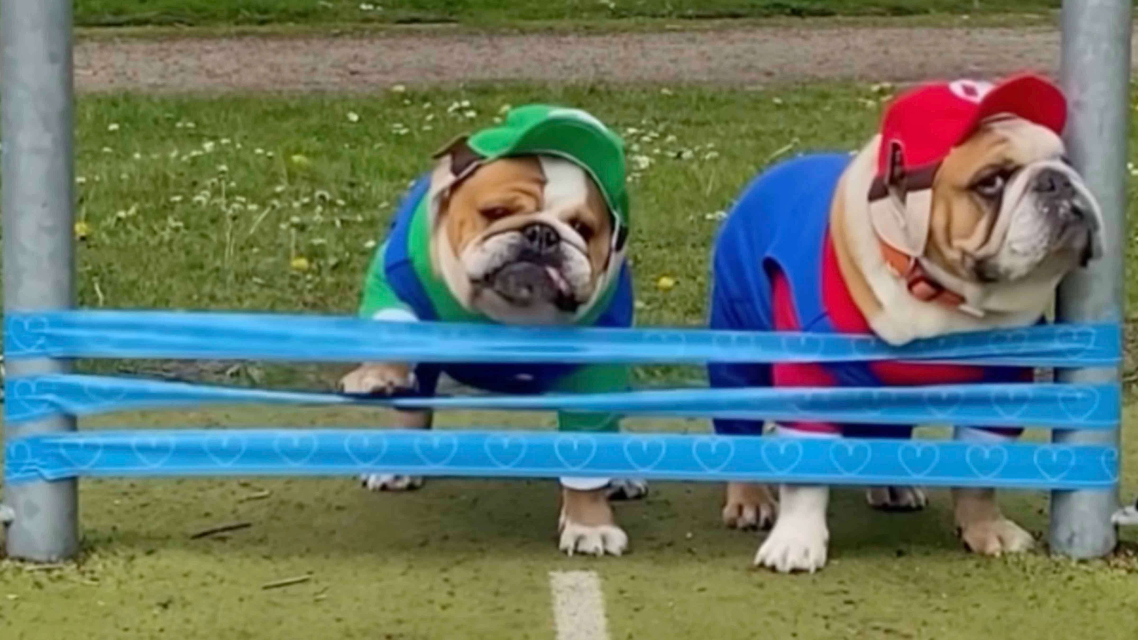 You still here 4 3 26