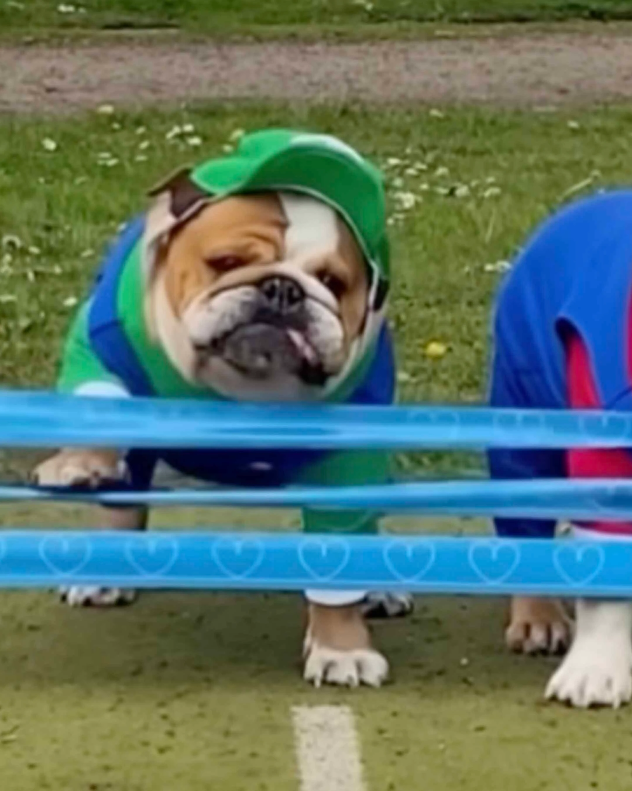 You still here 4 3 26