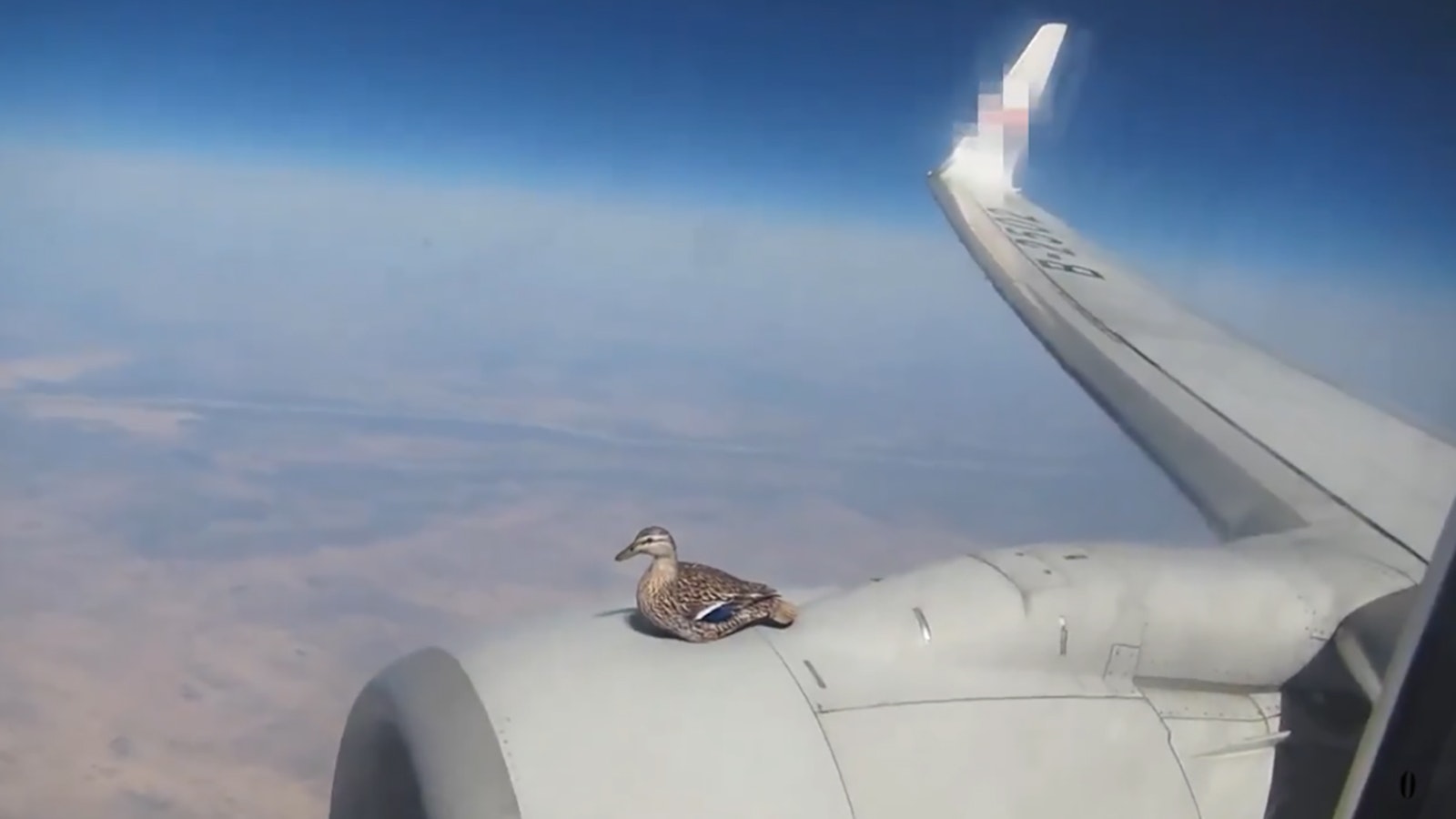 You still here 4 2 25