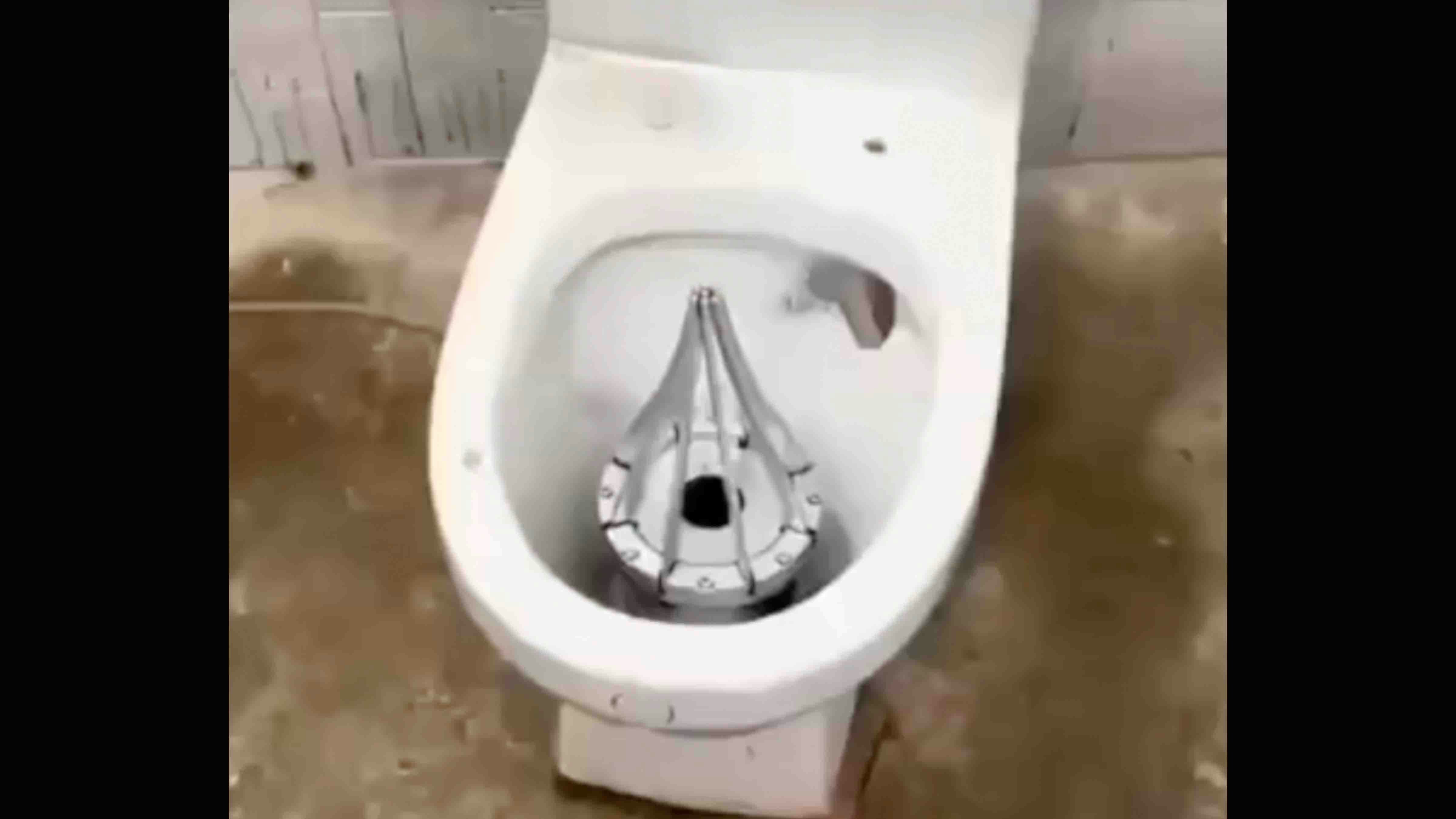 You still here 5 15 24